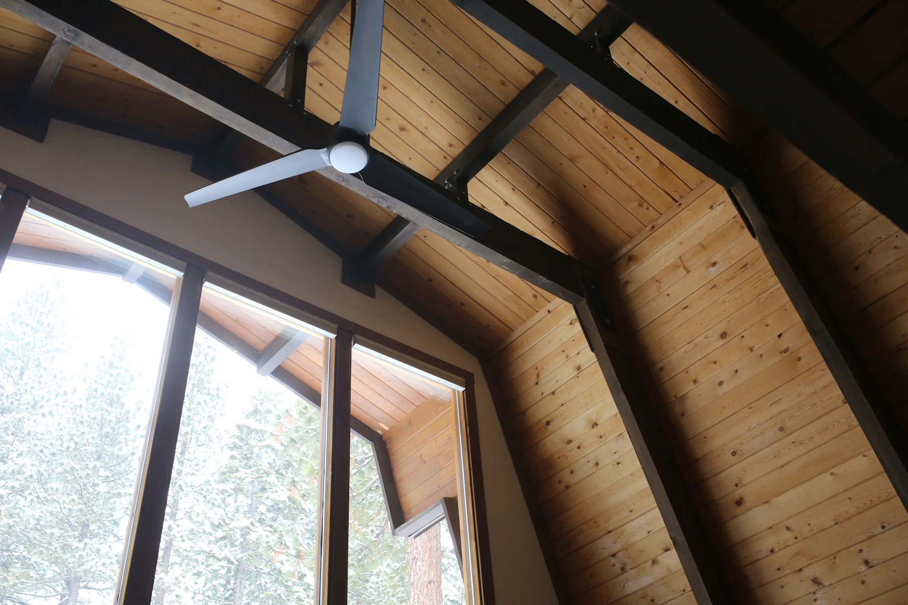 Interior with ceiling fan