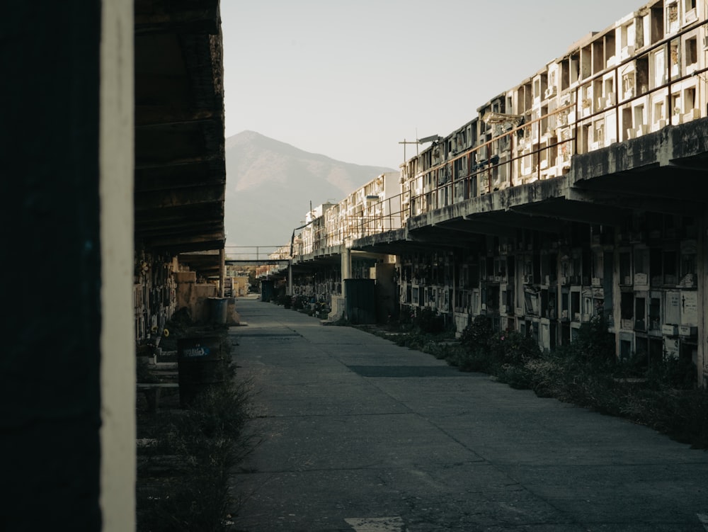 a row of abandoned buildings on the side of a road