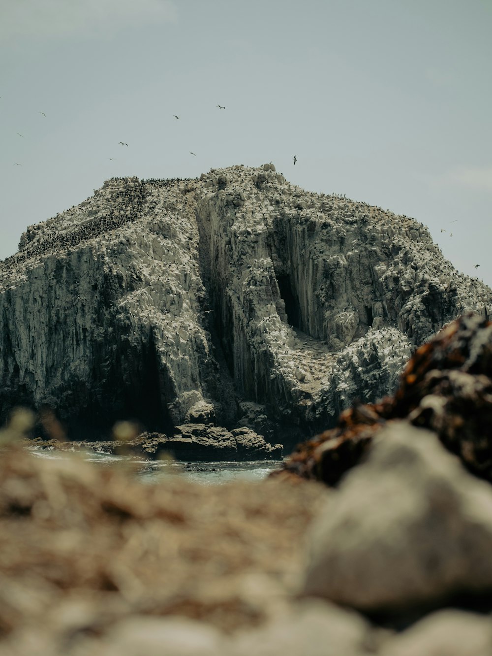a rock outcropping in the ocean with birds flying over it