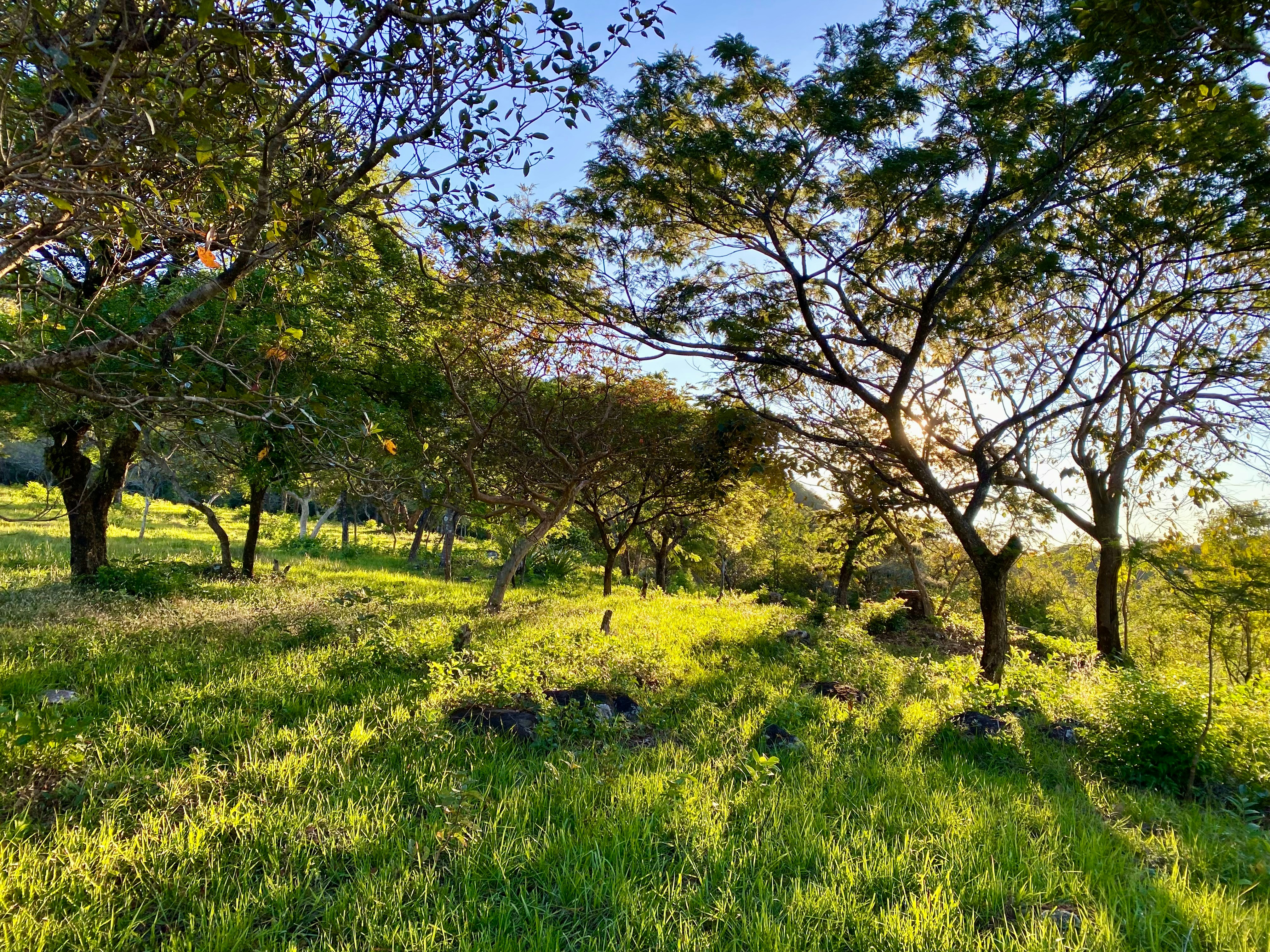 Photo by danyplash29