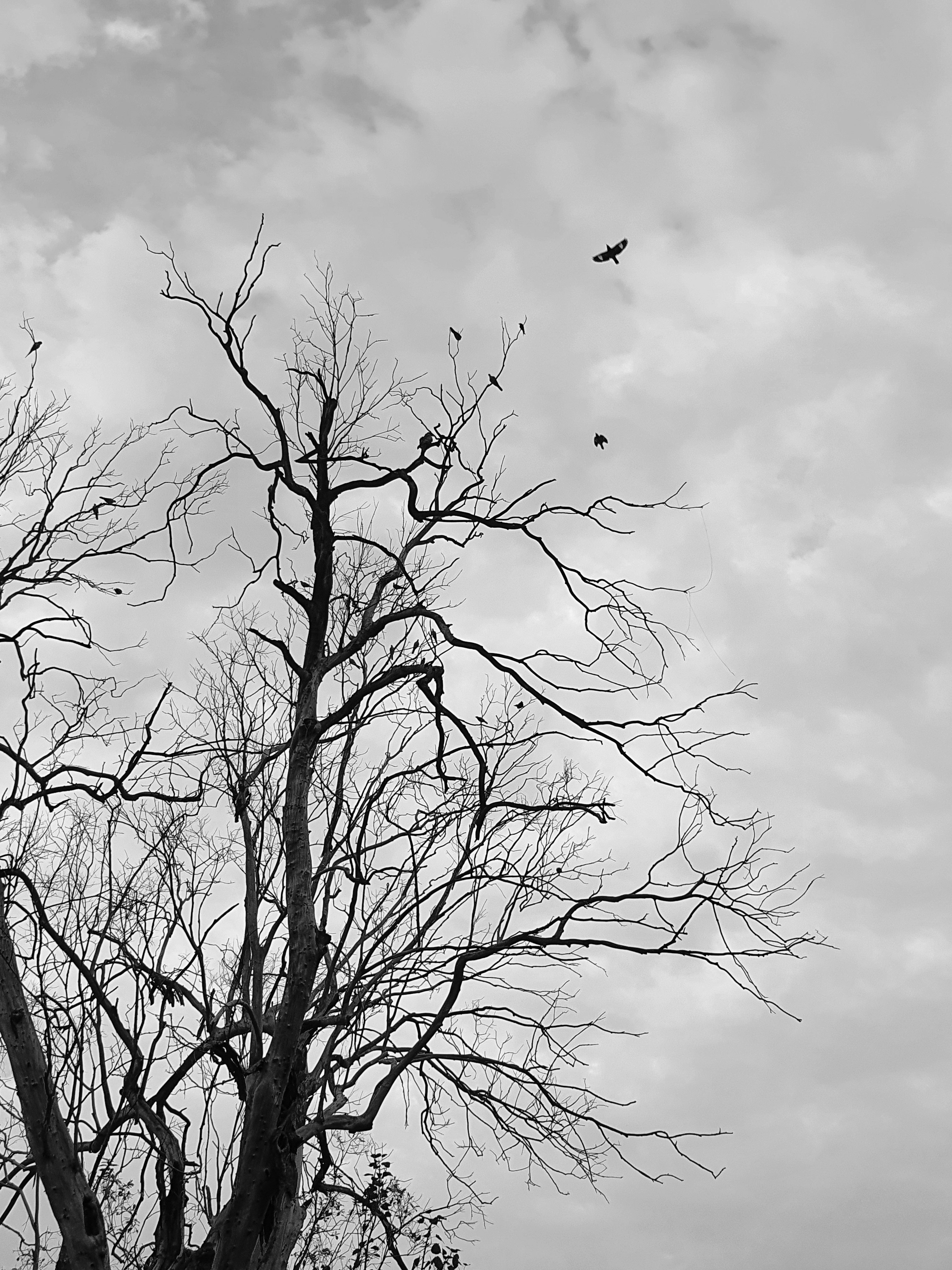 Shubham Rohilla (@areshubh) | Unsplash 사진 커뮤니티