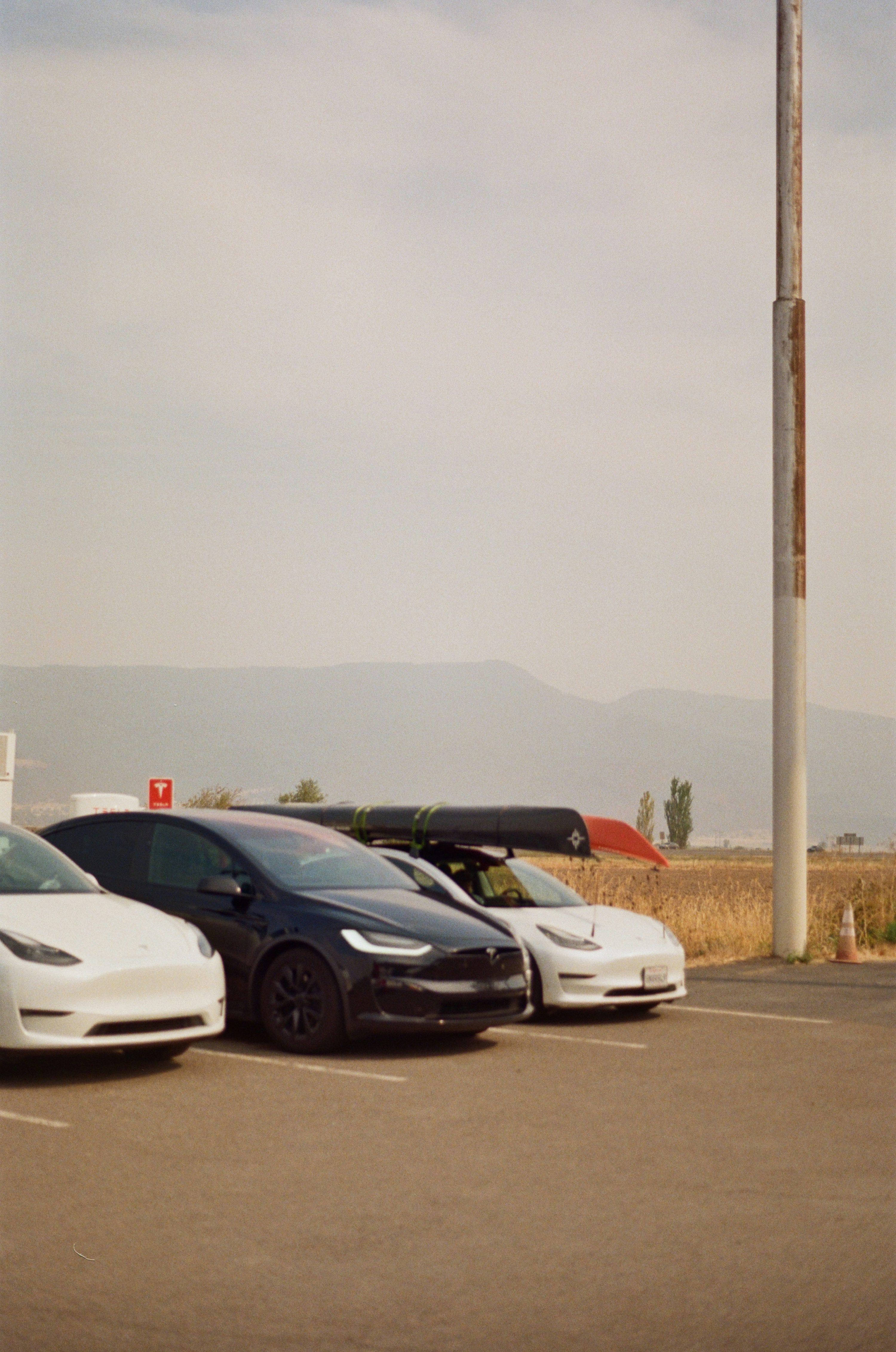 a couple of white and black cars parked in a parking lot