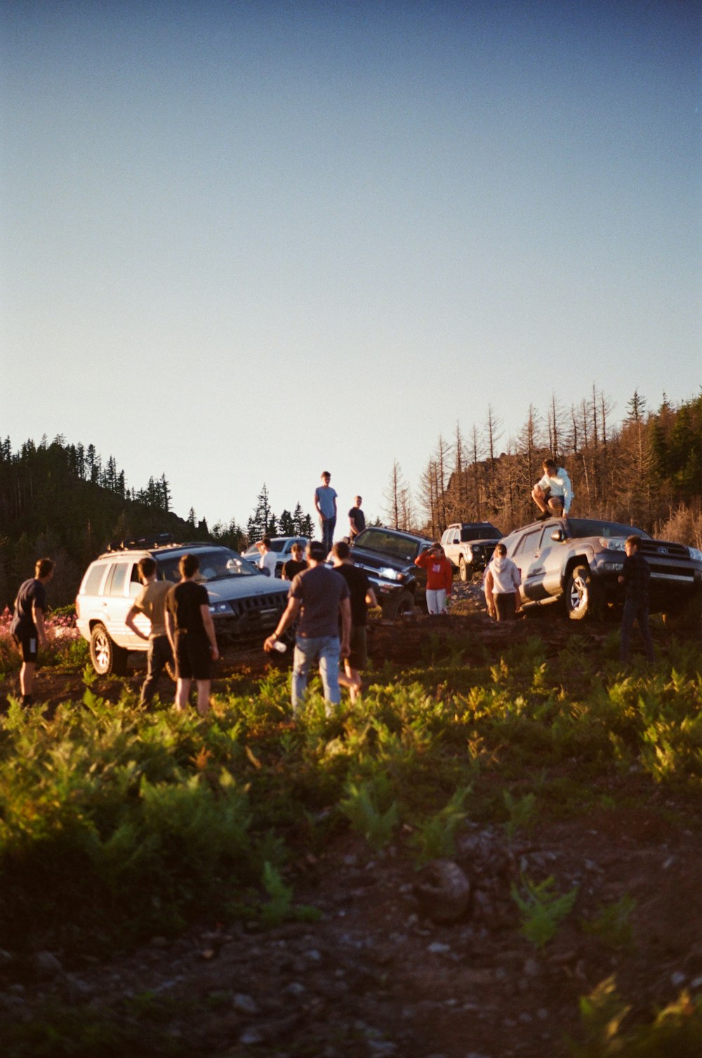 a group of people standing around a bunch of parked cars