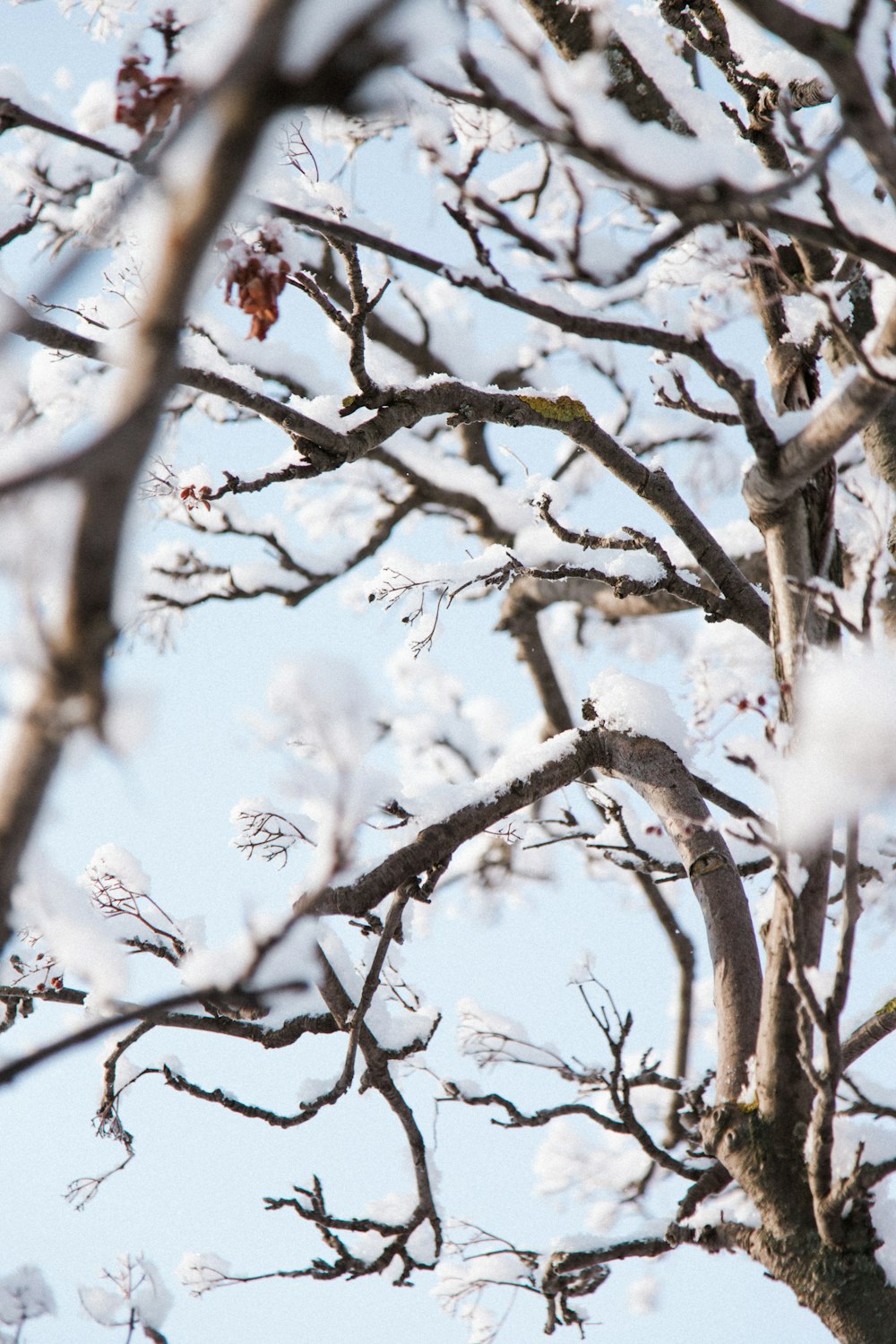 a bird is perched on a tree branch