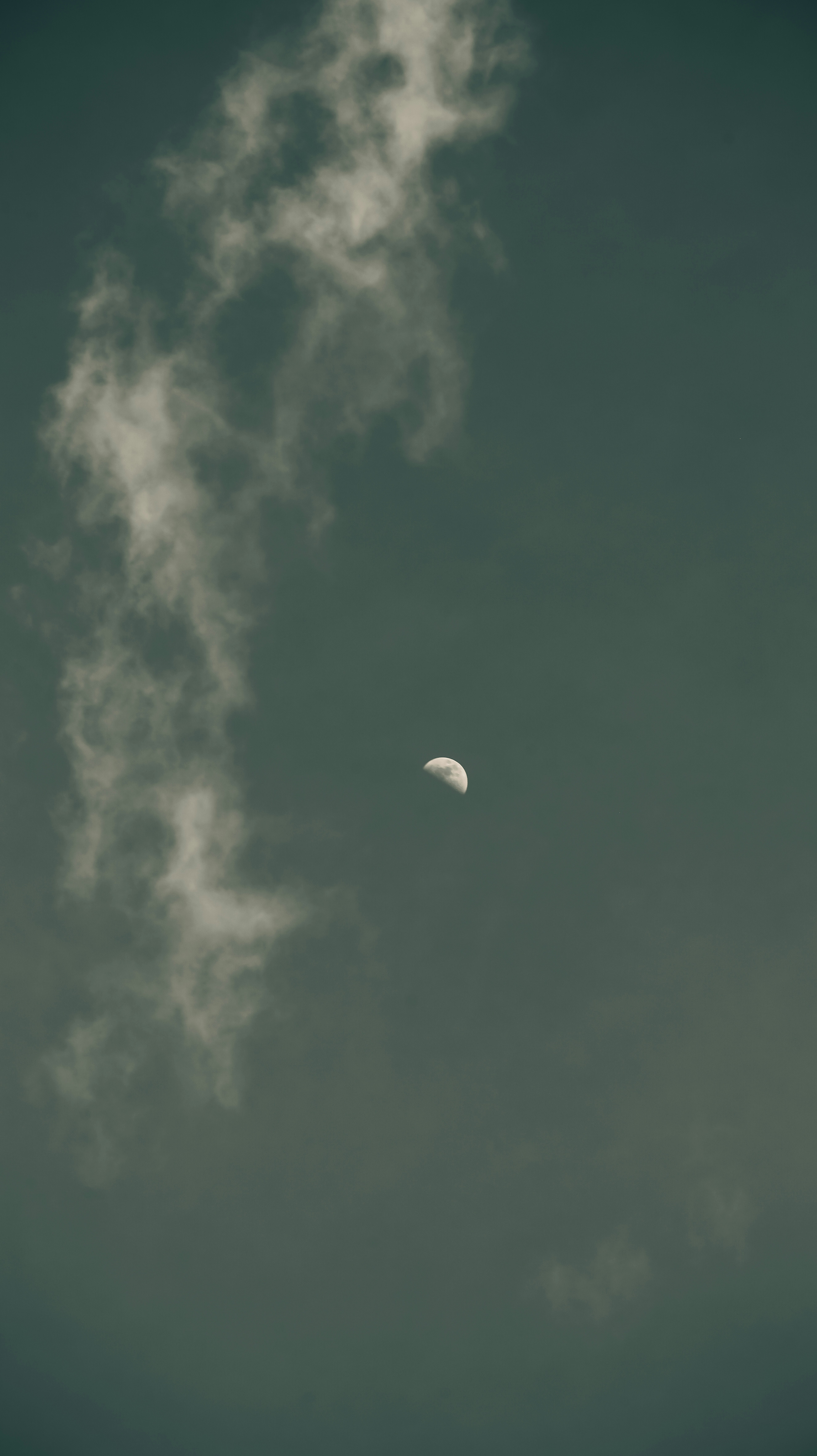 Photo by stevecameup