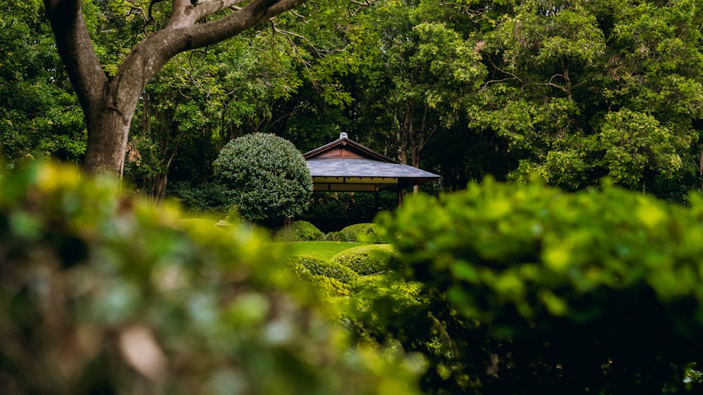 a gazebo in the middle of a lush green forest