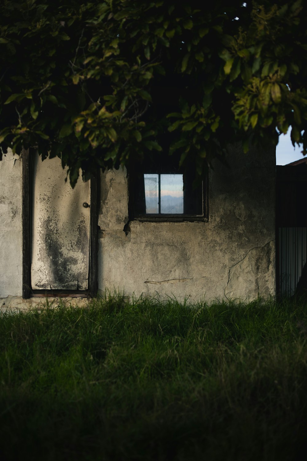 a small white building with a window and grass