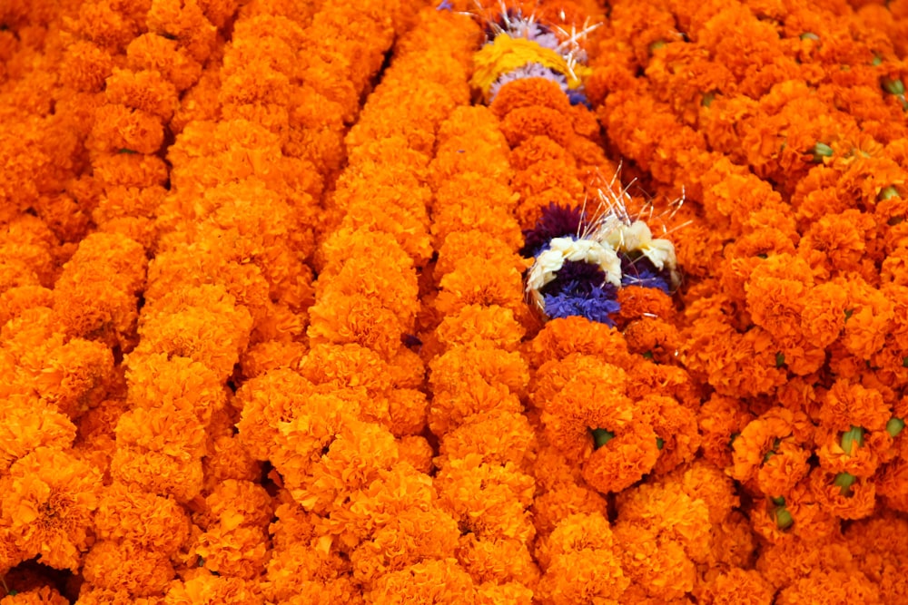 un ramo de flores que están en el suelo