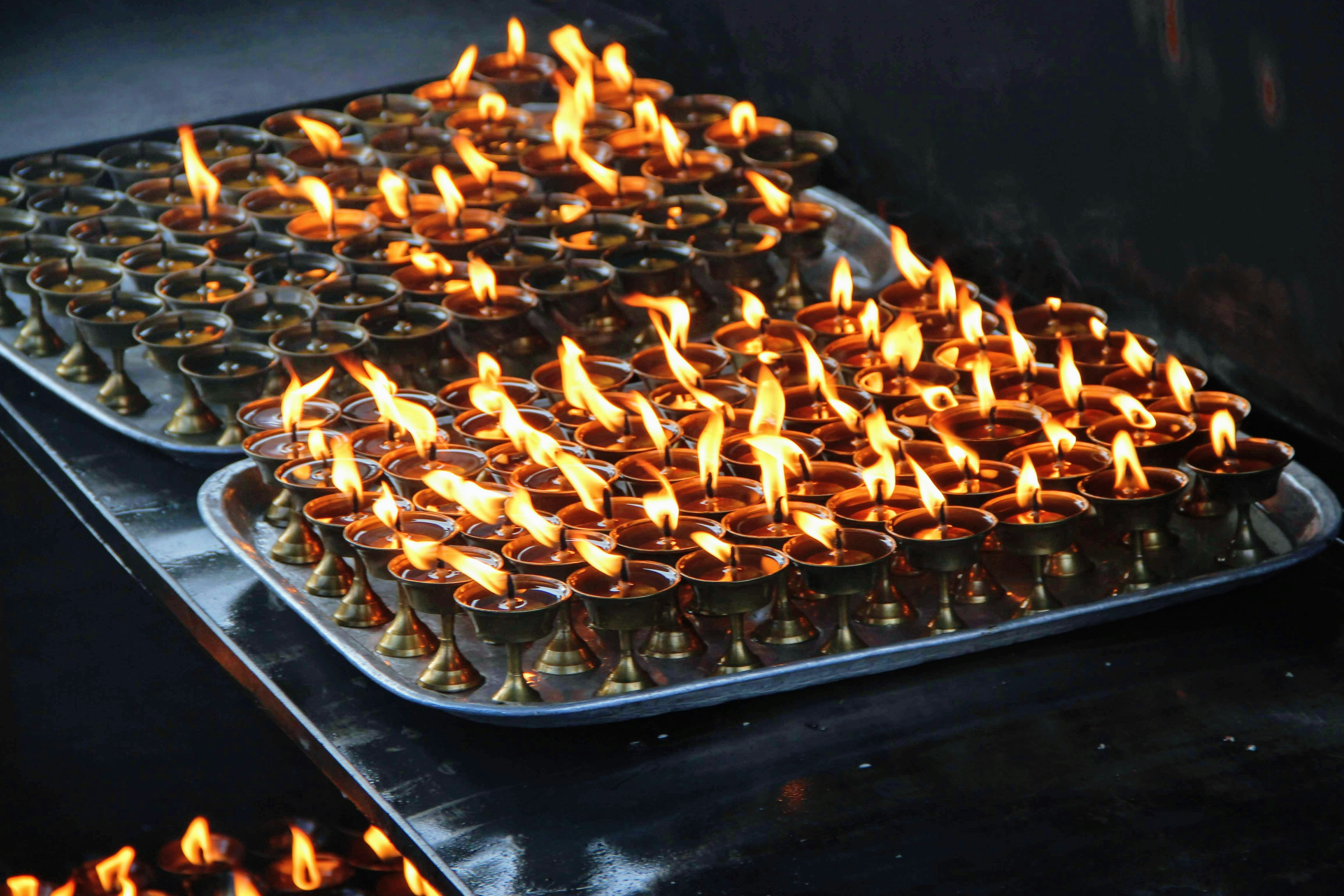 Rows of glowing butter lamps