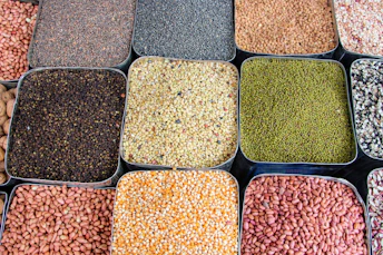 a variety of beans and cereals in trays