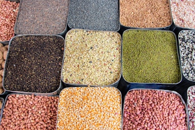 a variety of beans and cereals in trays