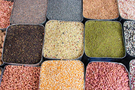 a variety of beans and cereals in trays