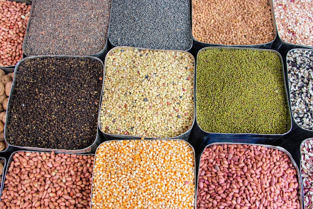 a variety of beans and cereals in trays