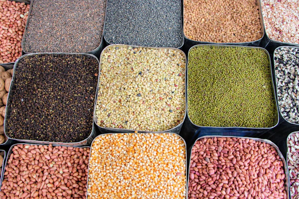 Pulses