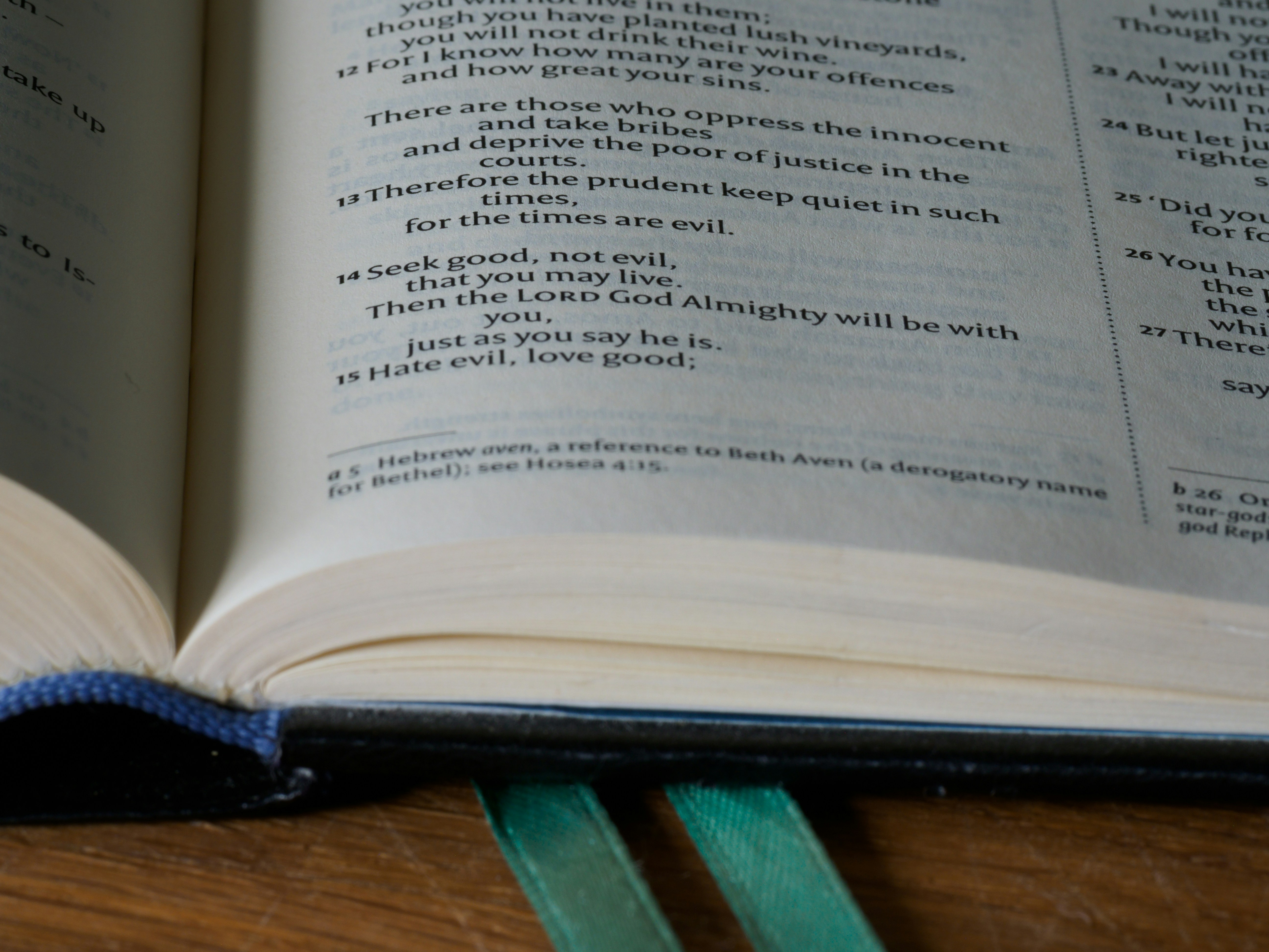 Photo by brett_jordan