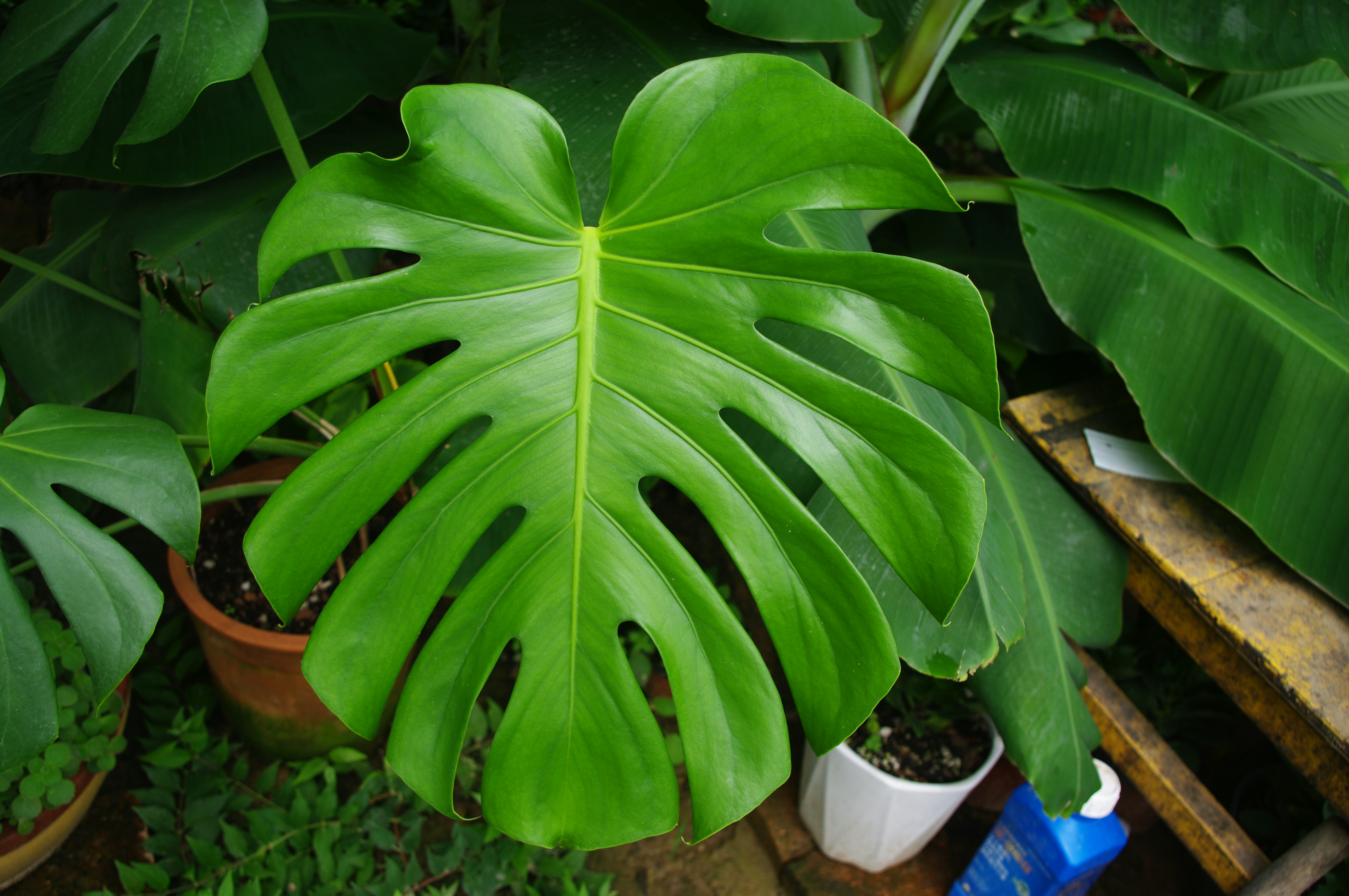 Photo by forrest0512