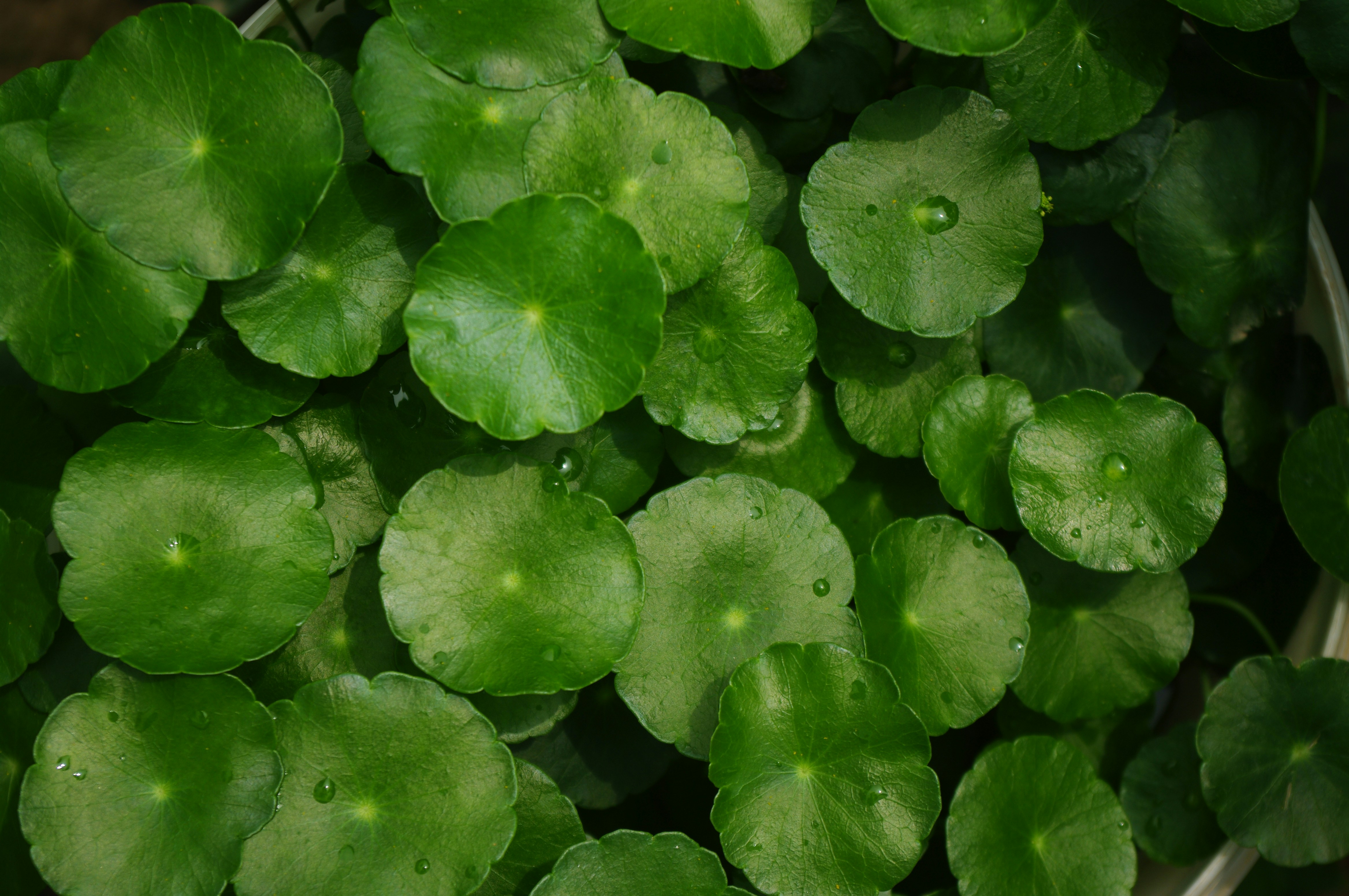 Photo by forrest0512