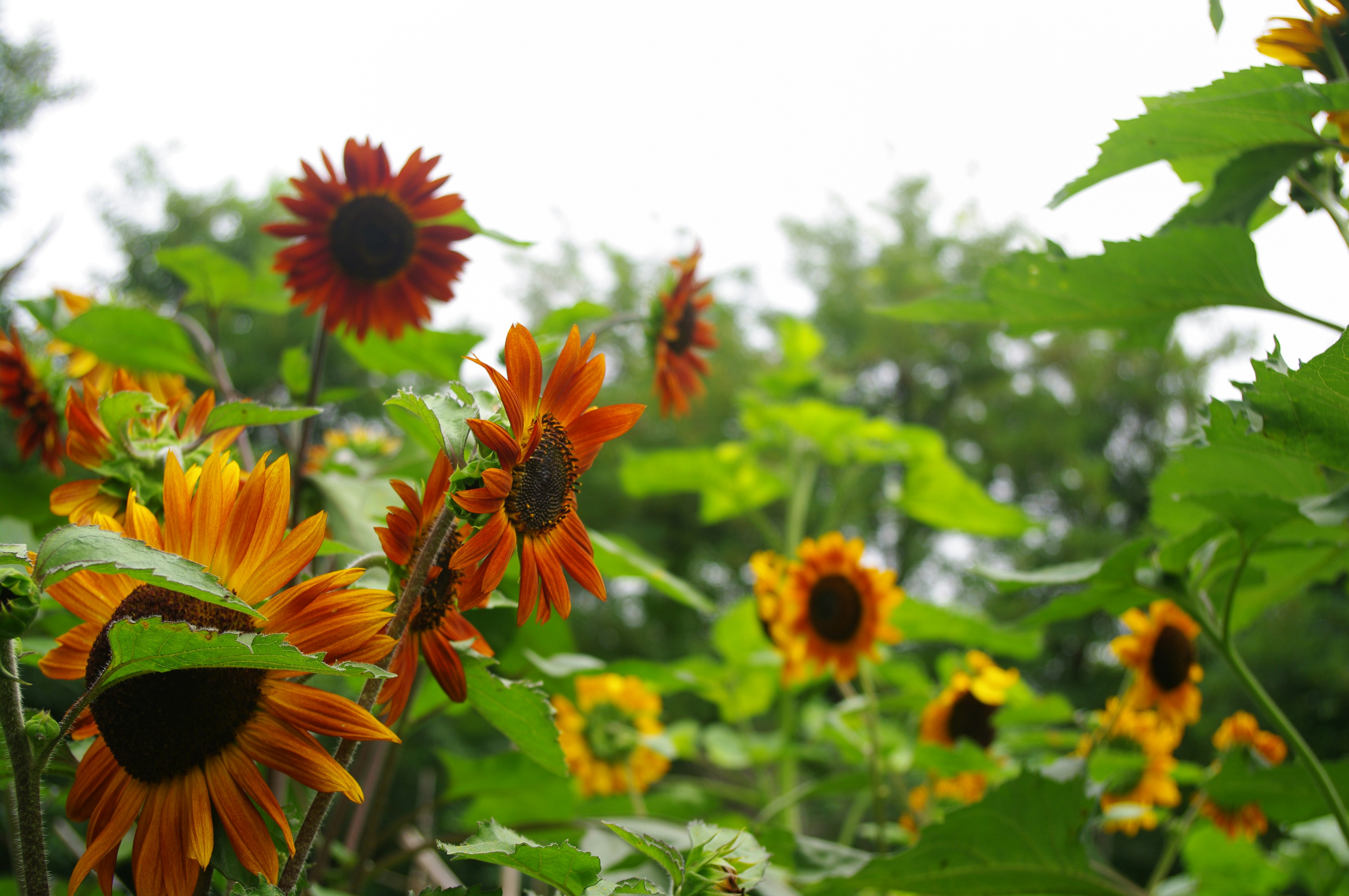 Photo by forrest0512