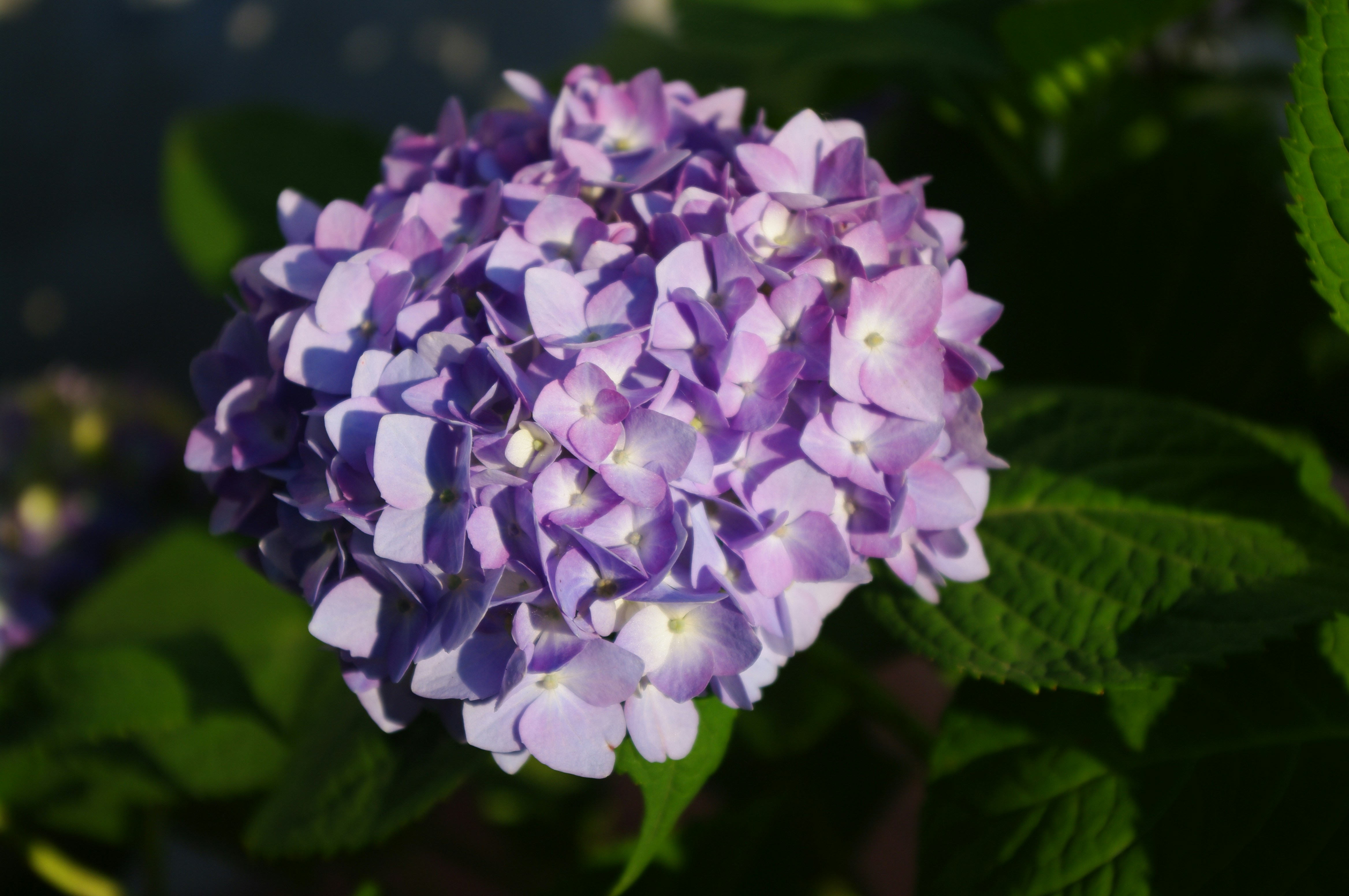 Photo by forrest0512