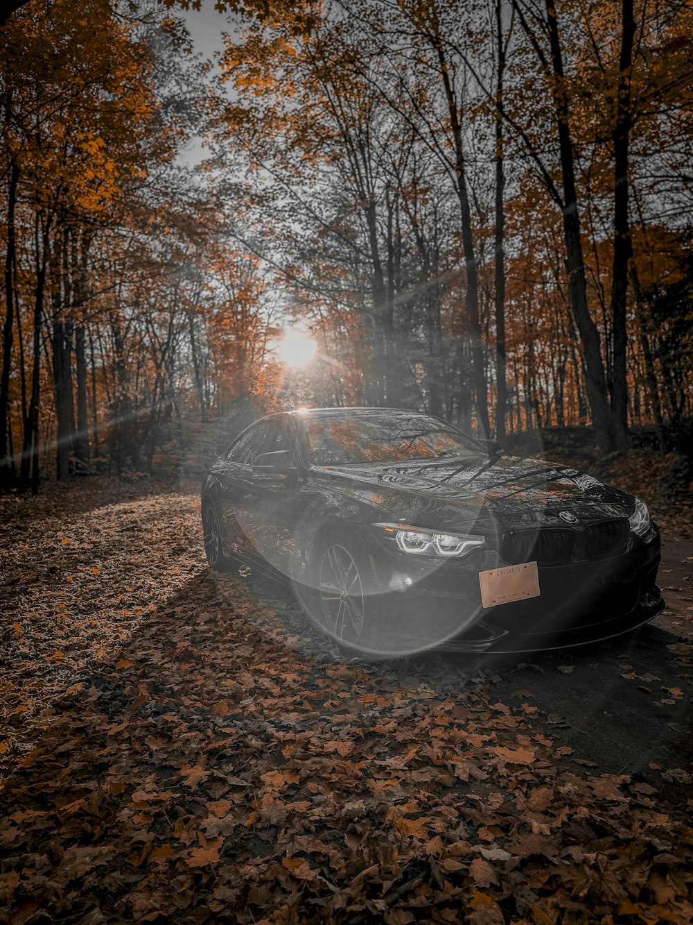 a car parked in the middle of a forest