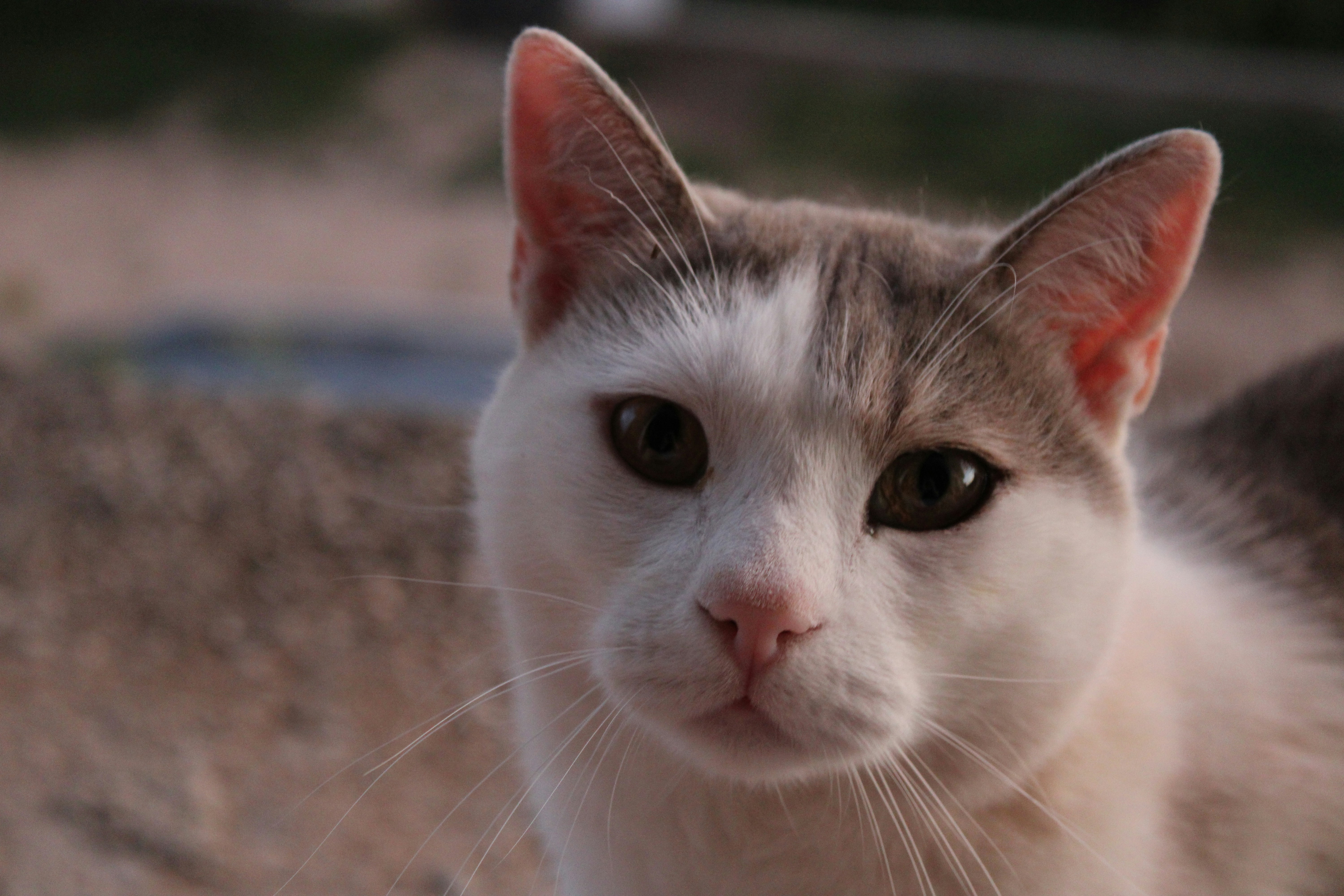 Photo by martapedich