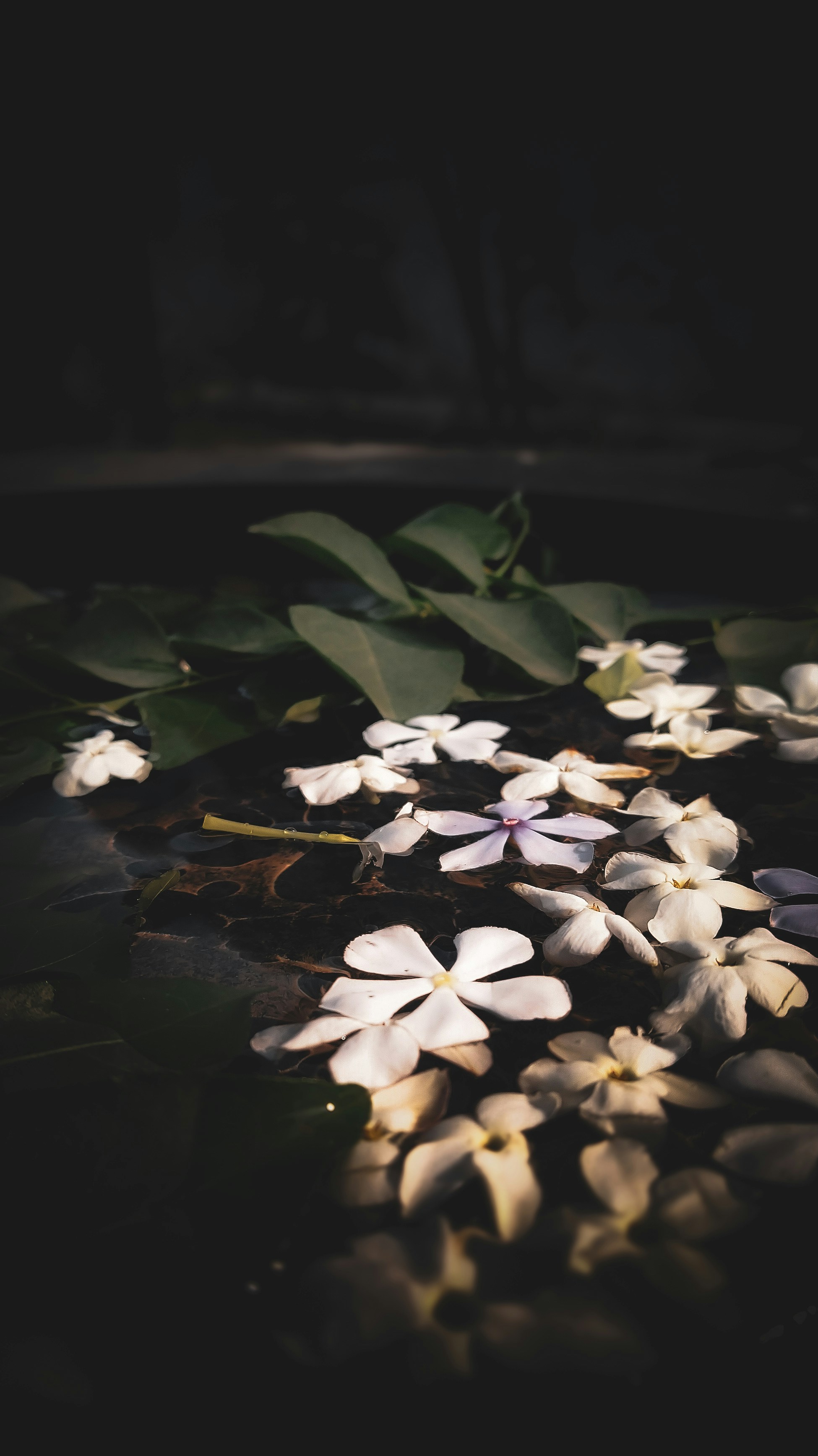 Photo by theclickfilms