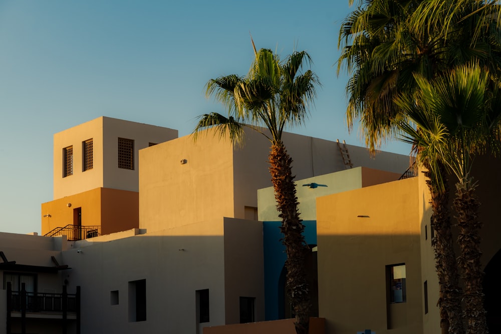 a building with palm trees in front of it