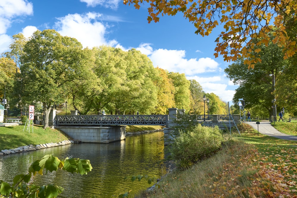 a bridge over a river in a park