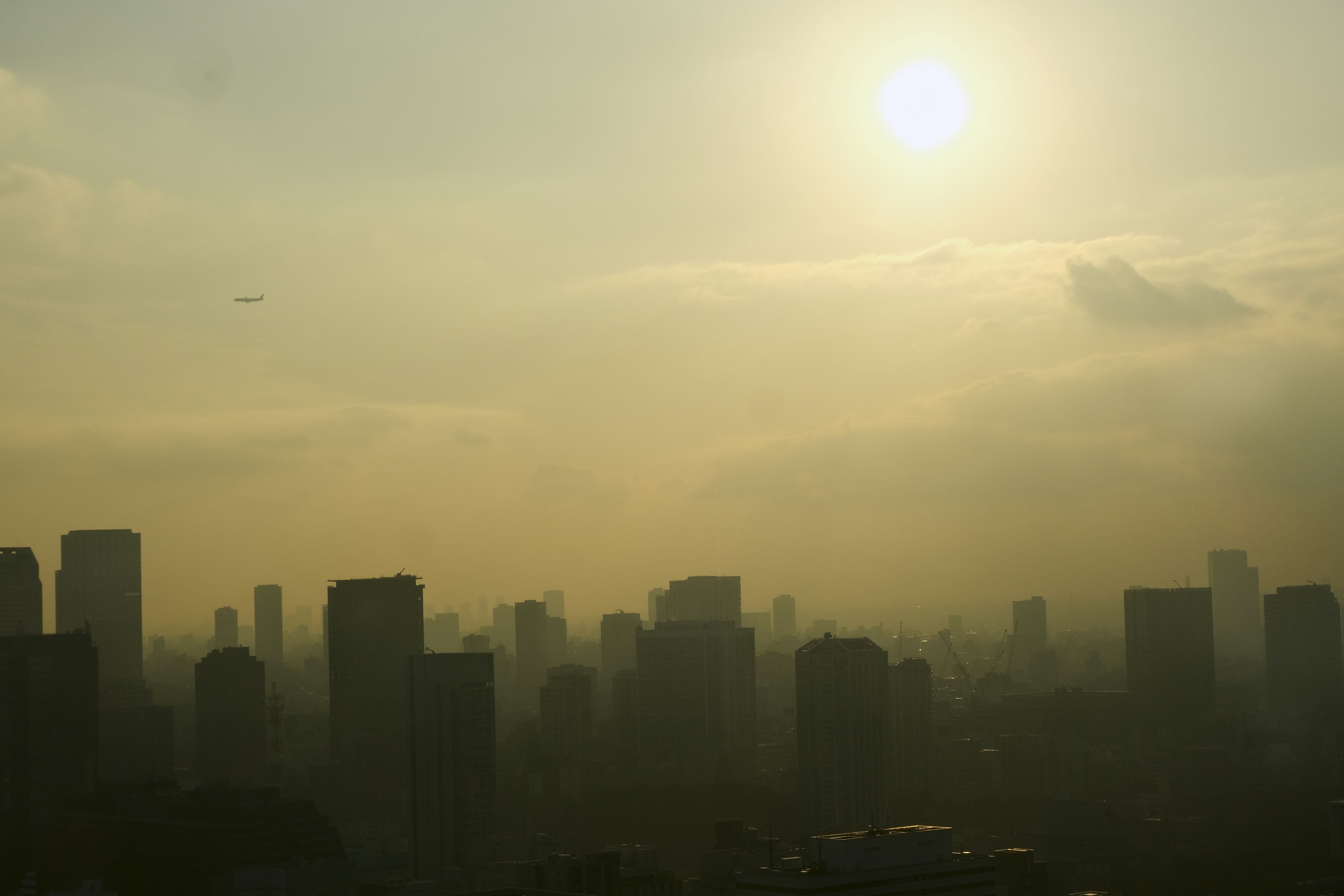 Photo by rebeccaclarke