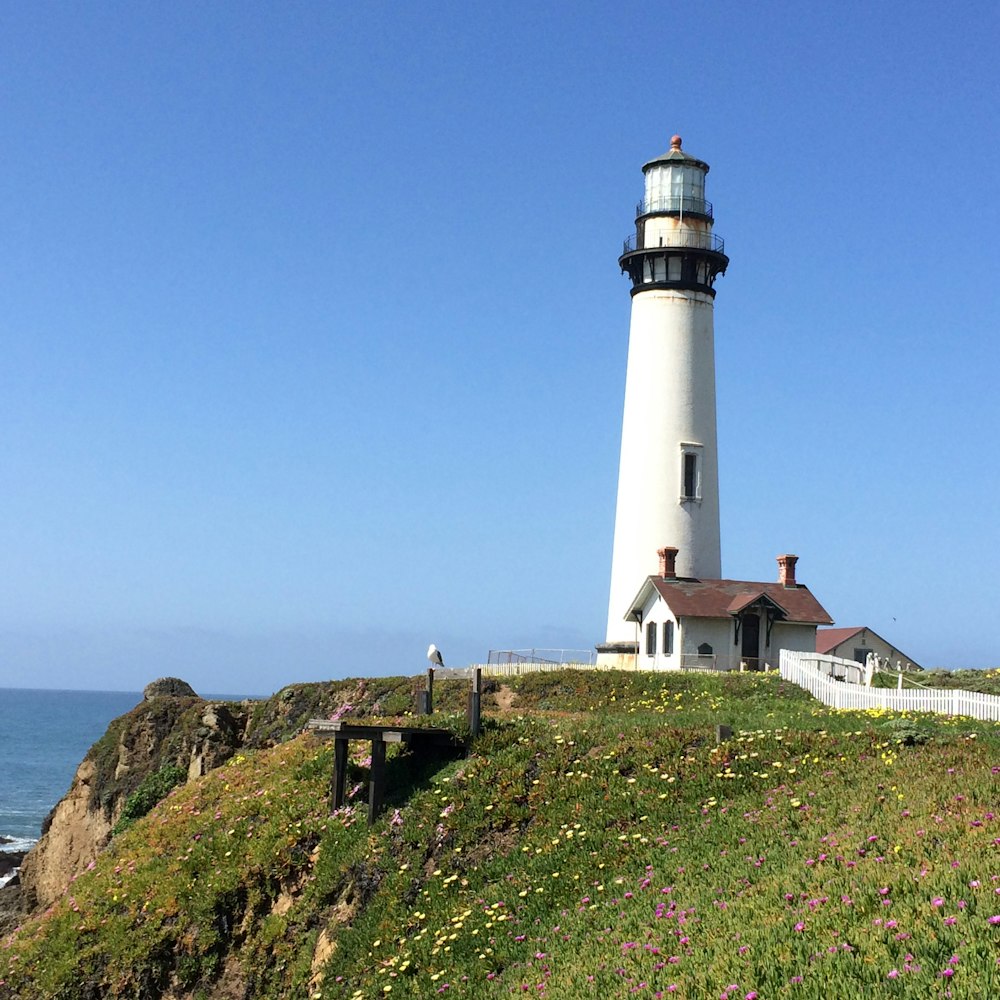 a light house sitting on top of a lush green hillside