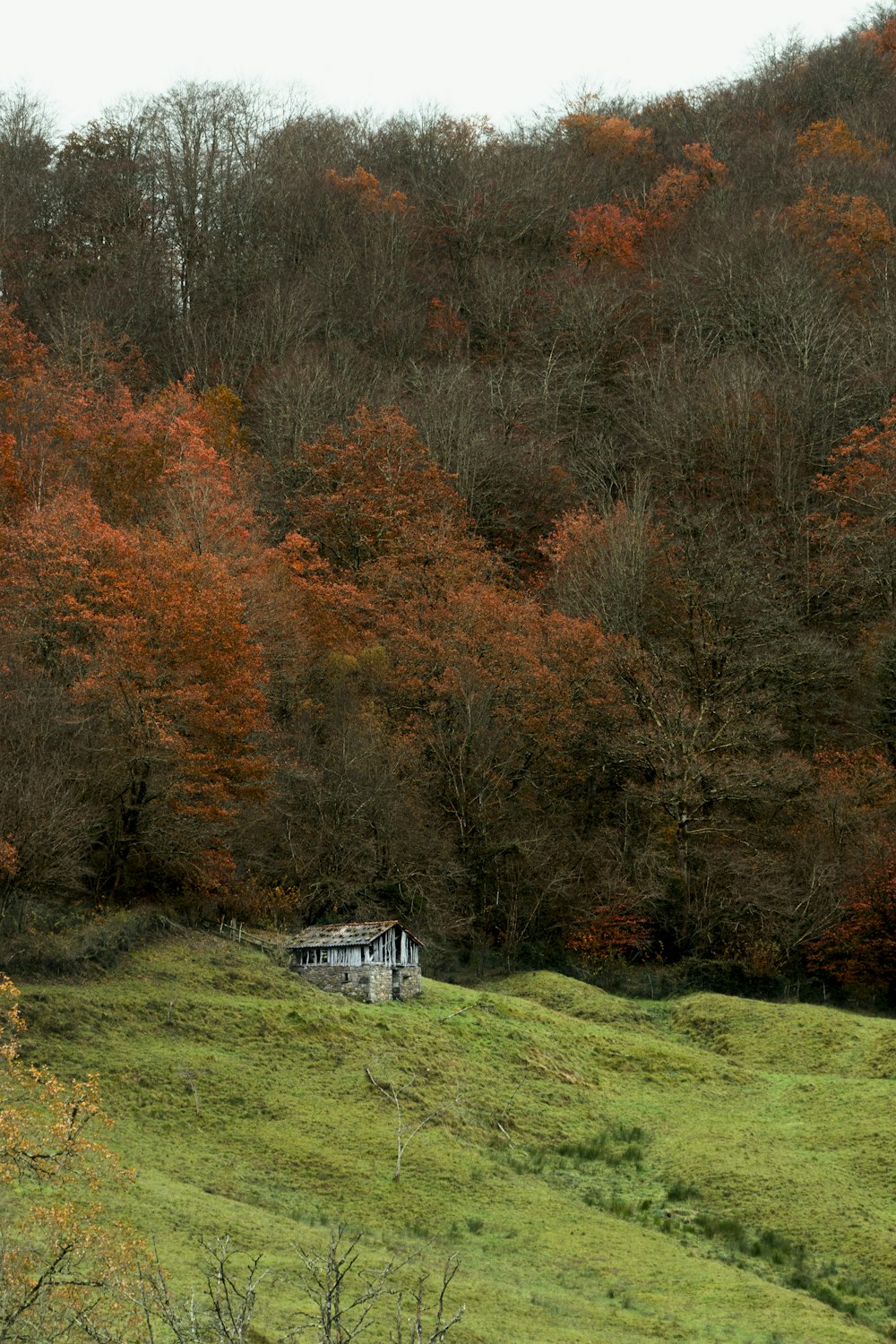 a house in the middle of a field with trees in the background
