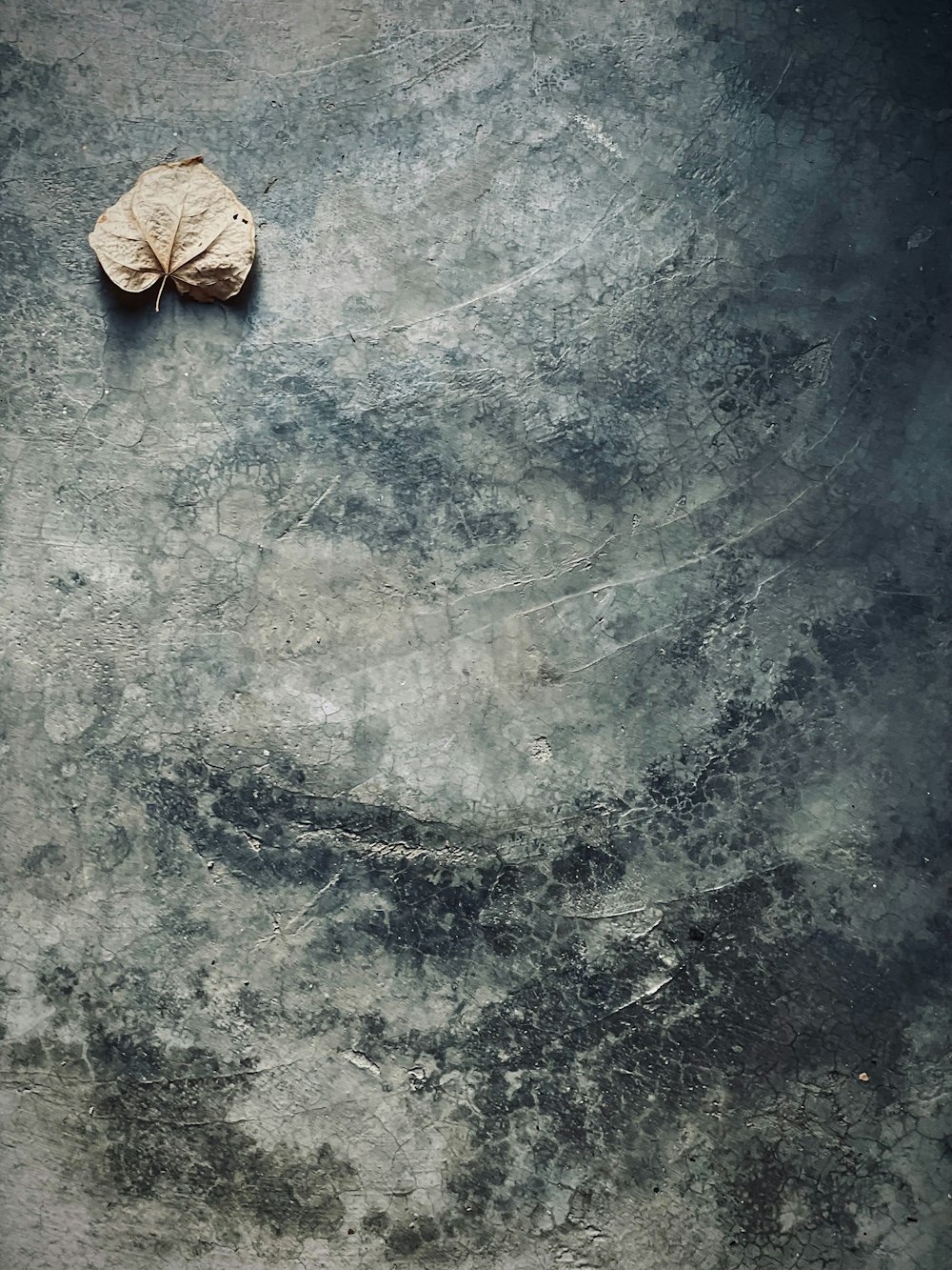 a piece of paper sitting on top of a gray surface