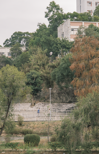 Two people walking through a park
