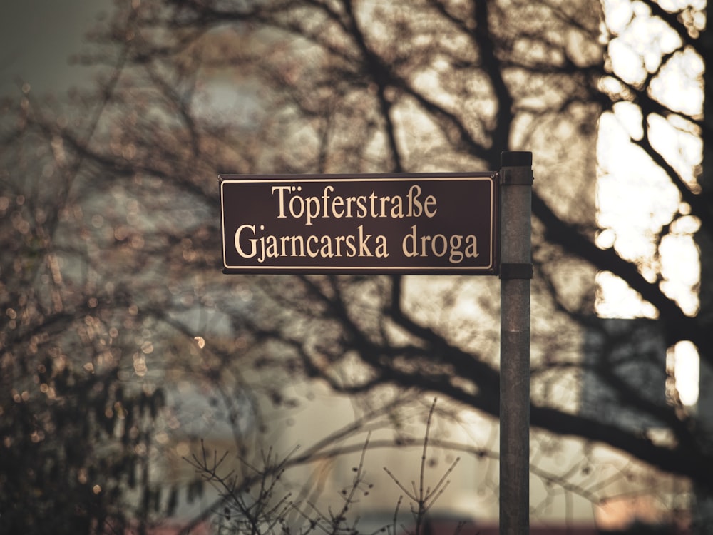 a street sign in front of a tree