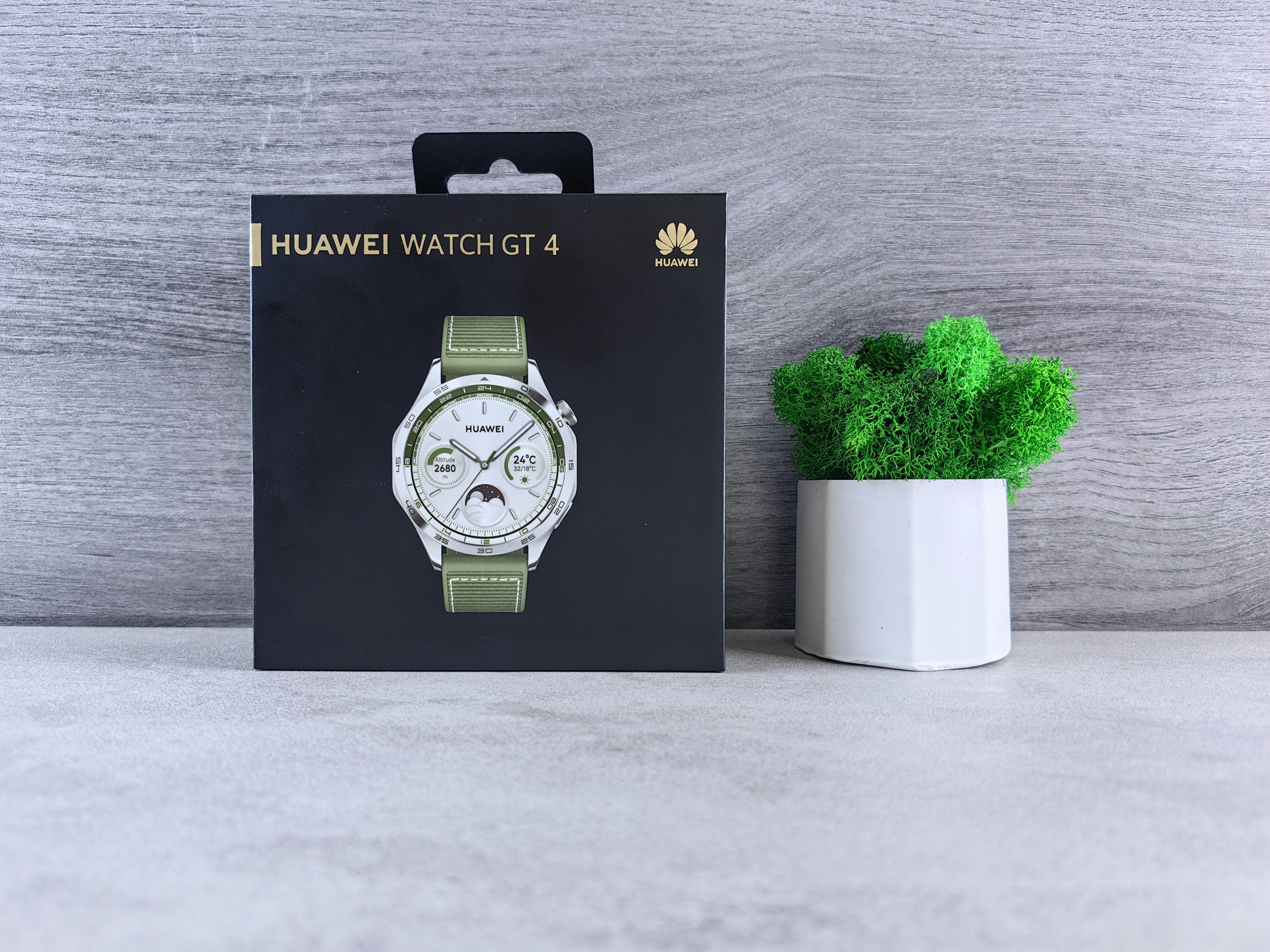 Aqeel Watch presentation with plant