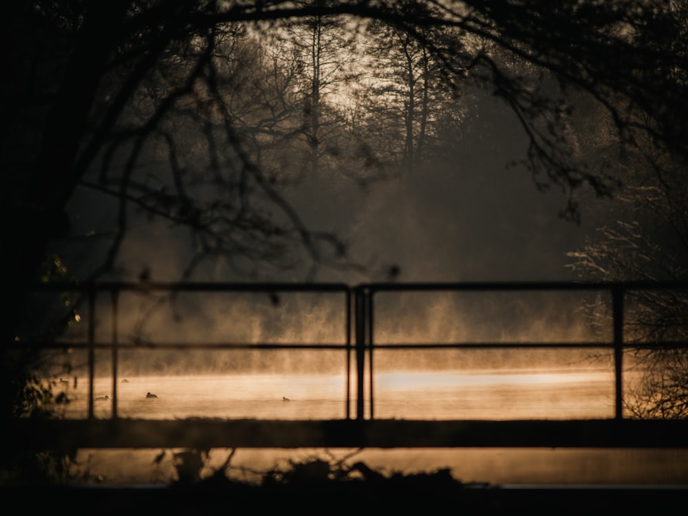 a bridge over a body of water at night