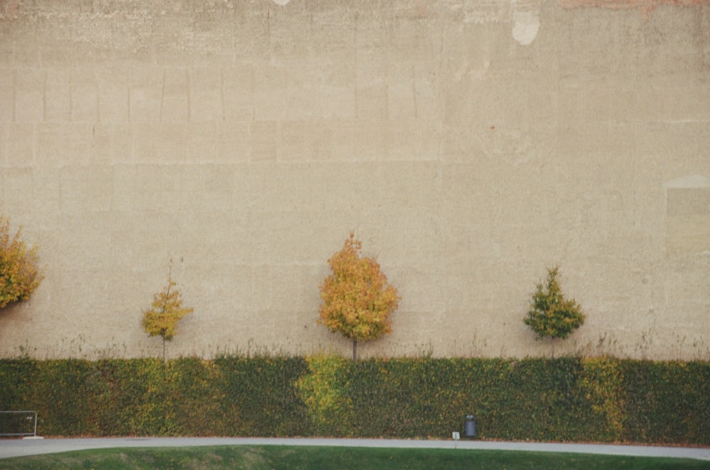 a man riding a skateboard down a street next to a wall