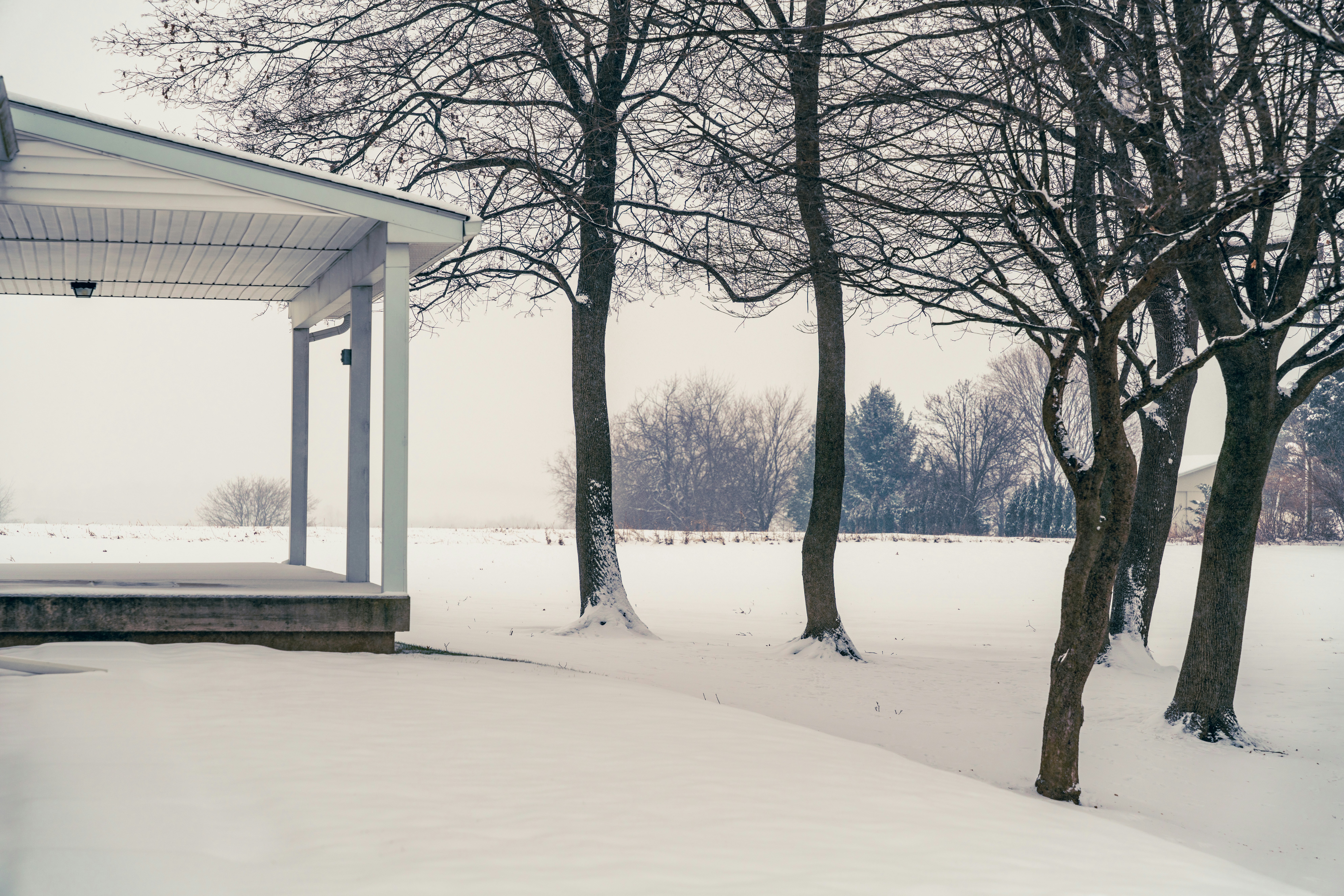 a gazebo in the middle of a snowy field