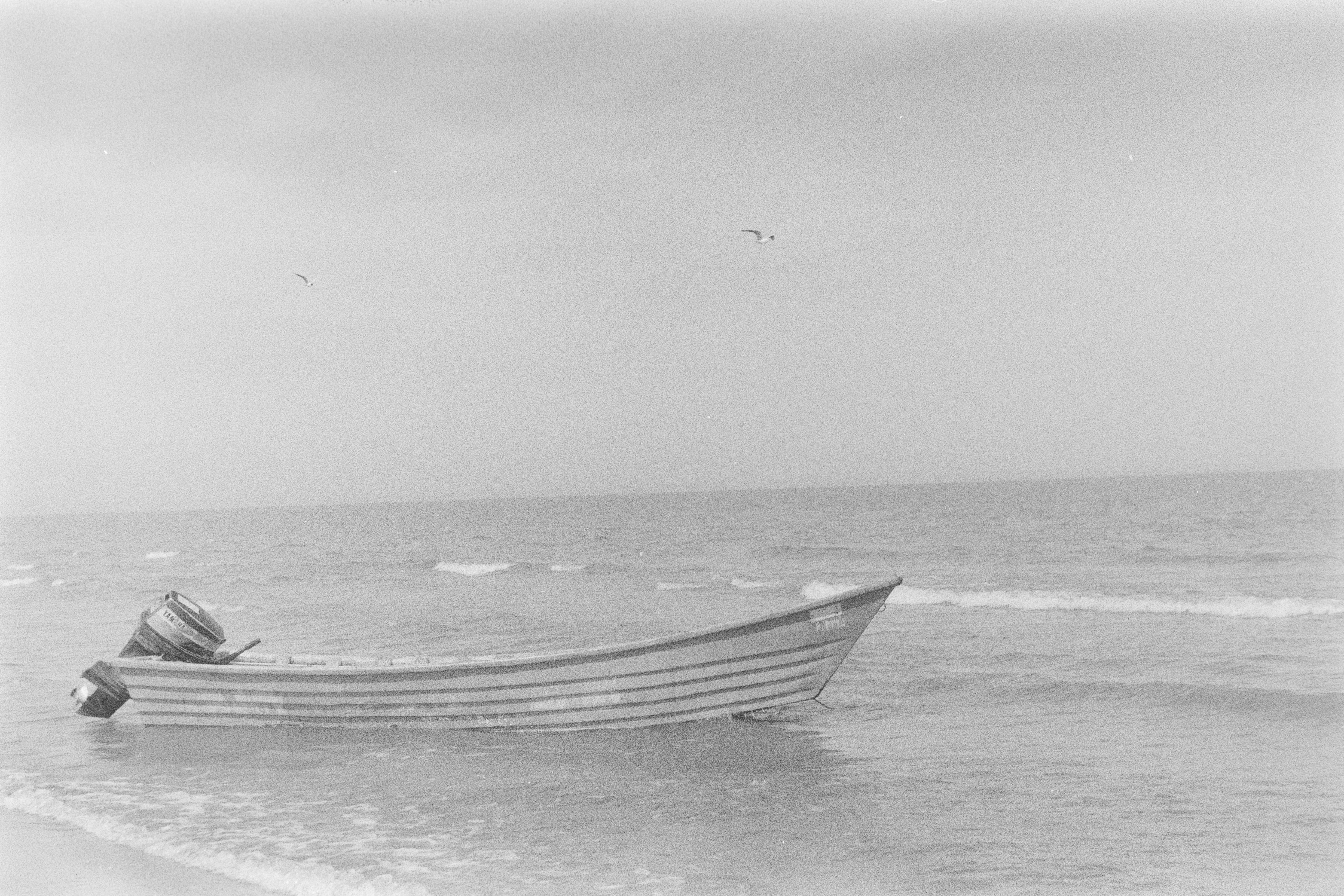 Photo by anitarahalzadeh