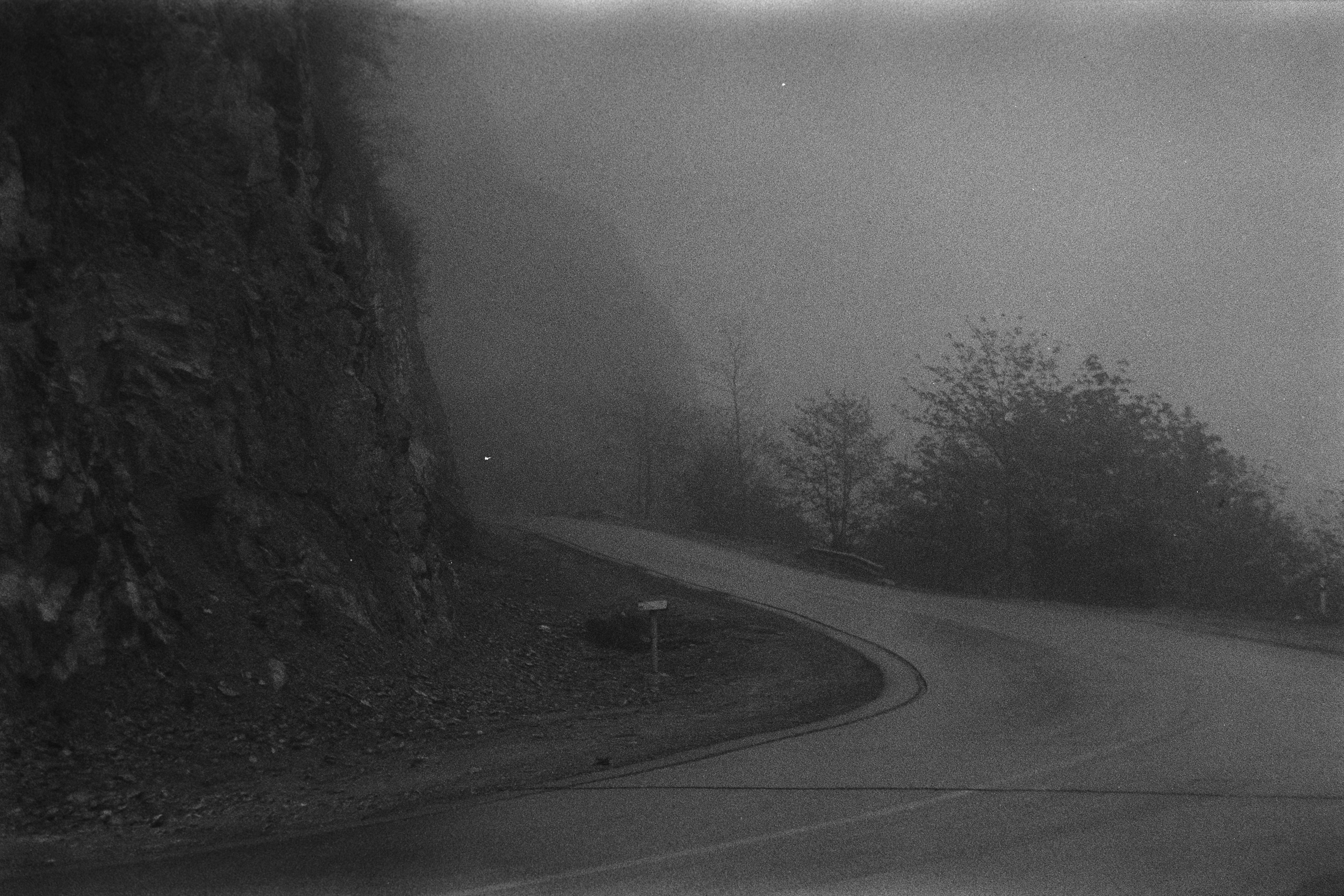 Photo by anitarahalzadeh