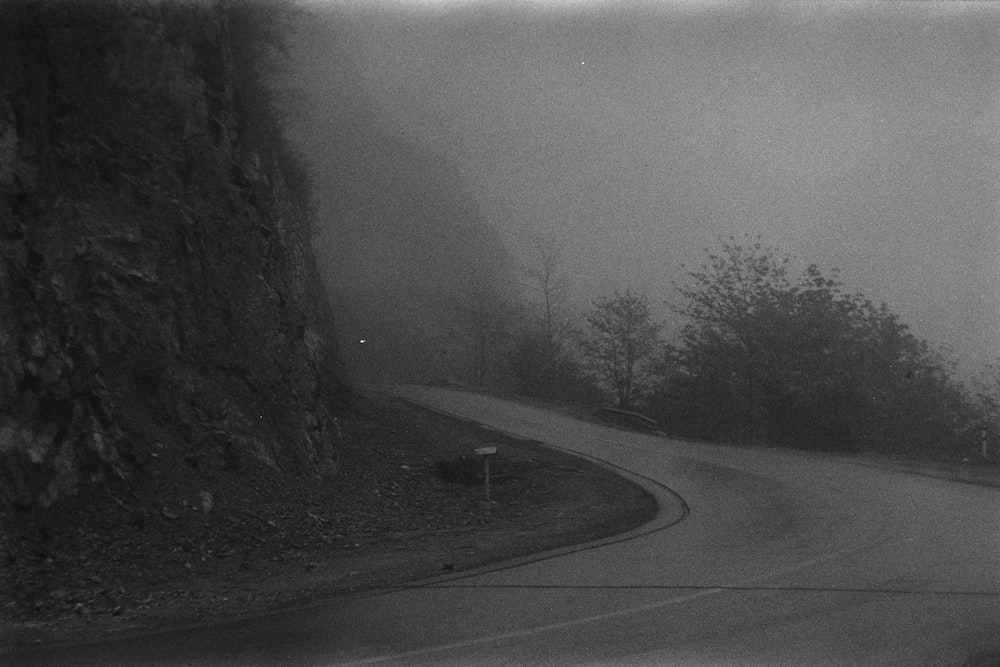 a foggy road with trees on the side of it