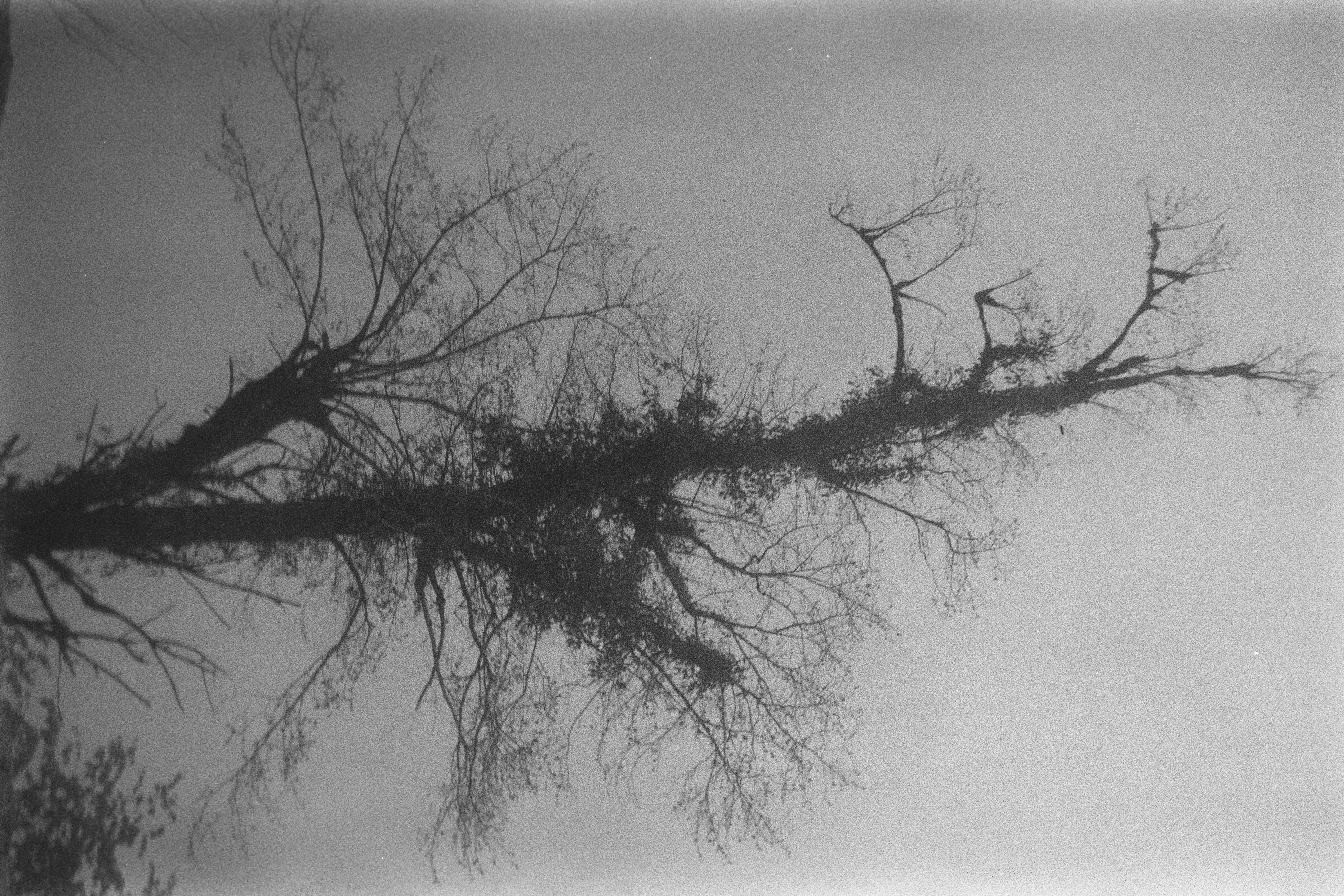 Photo by anitarahalzadeh