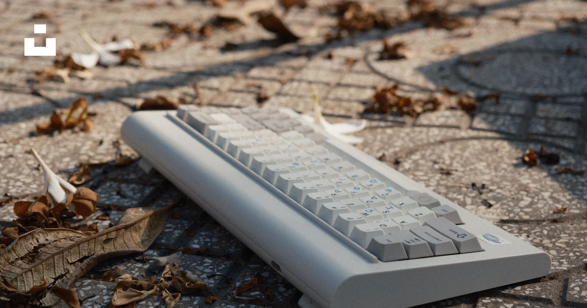 A keyboard sitting on the ground with leaves around it photo – Free ...