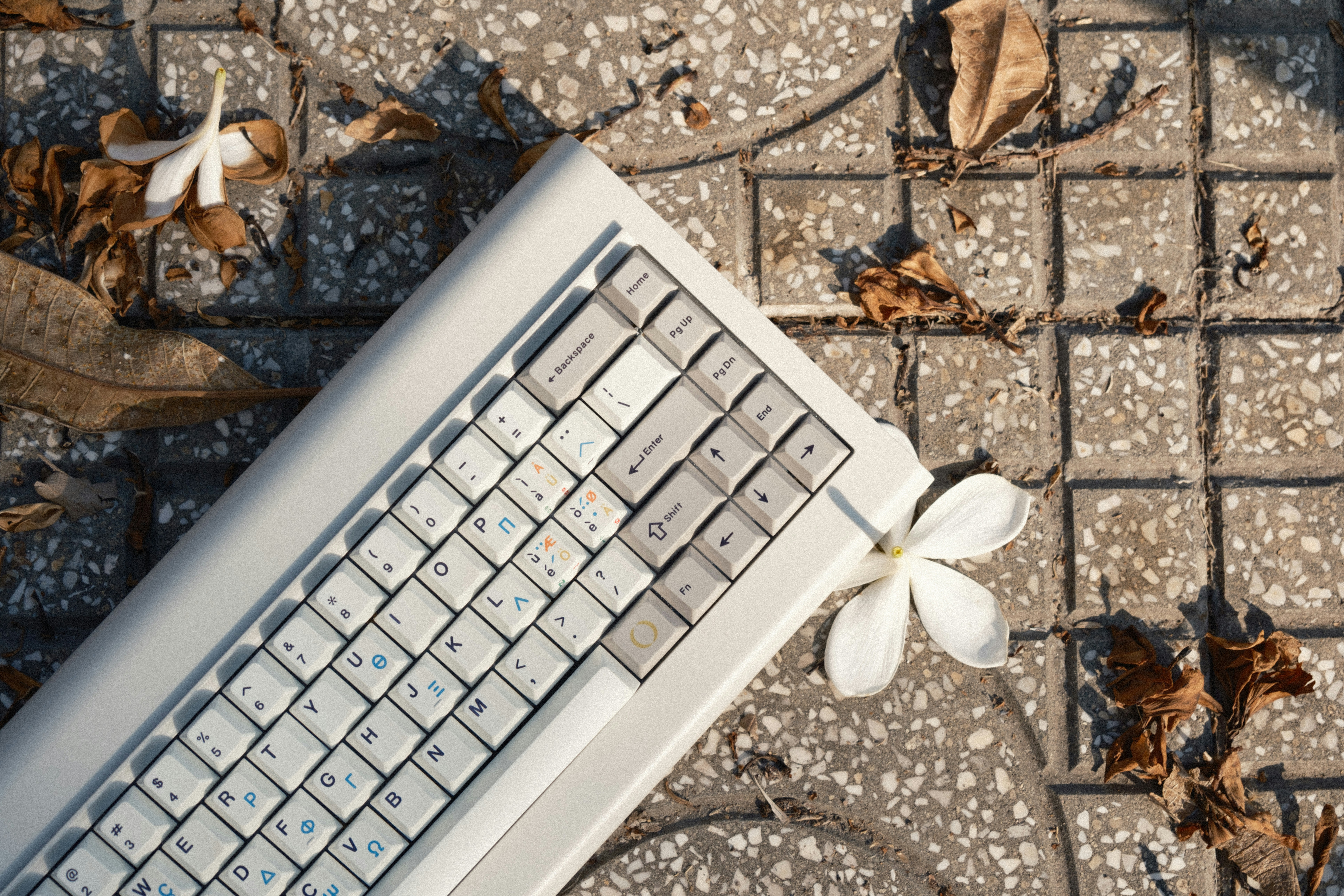 a keyboard and a flower on the ground