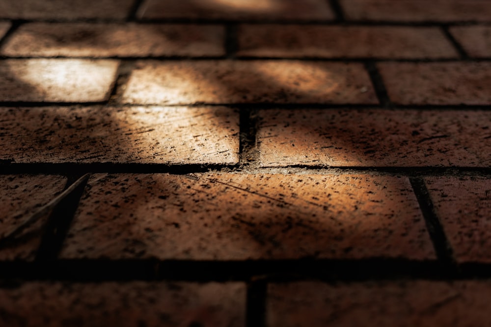 the shadow of a tree on a brick sidewalk
