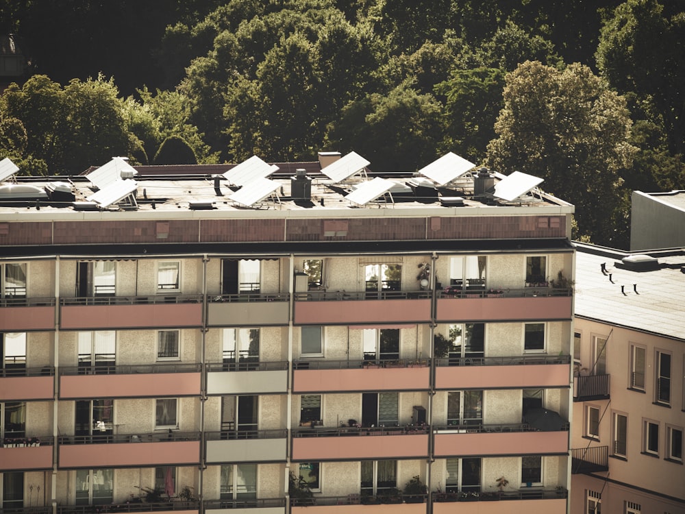 a building with a lot of windows and a lot of birds on top of it