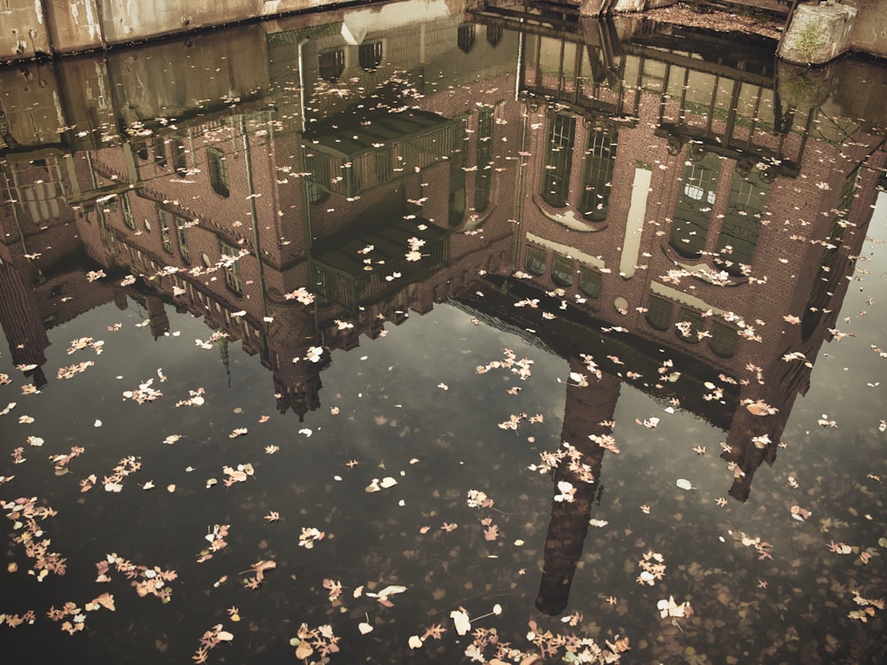 a reflection of a building in the water