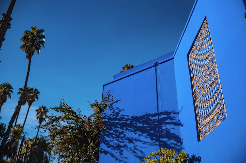 a blue building with a window and palm trees