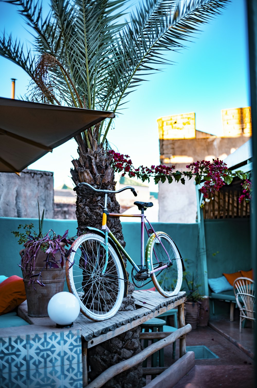 a bicycle is parked on a bench next to a palm tree