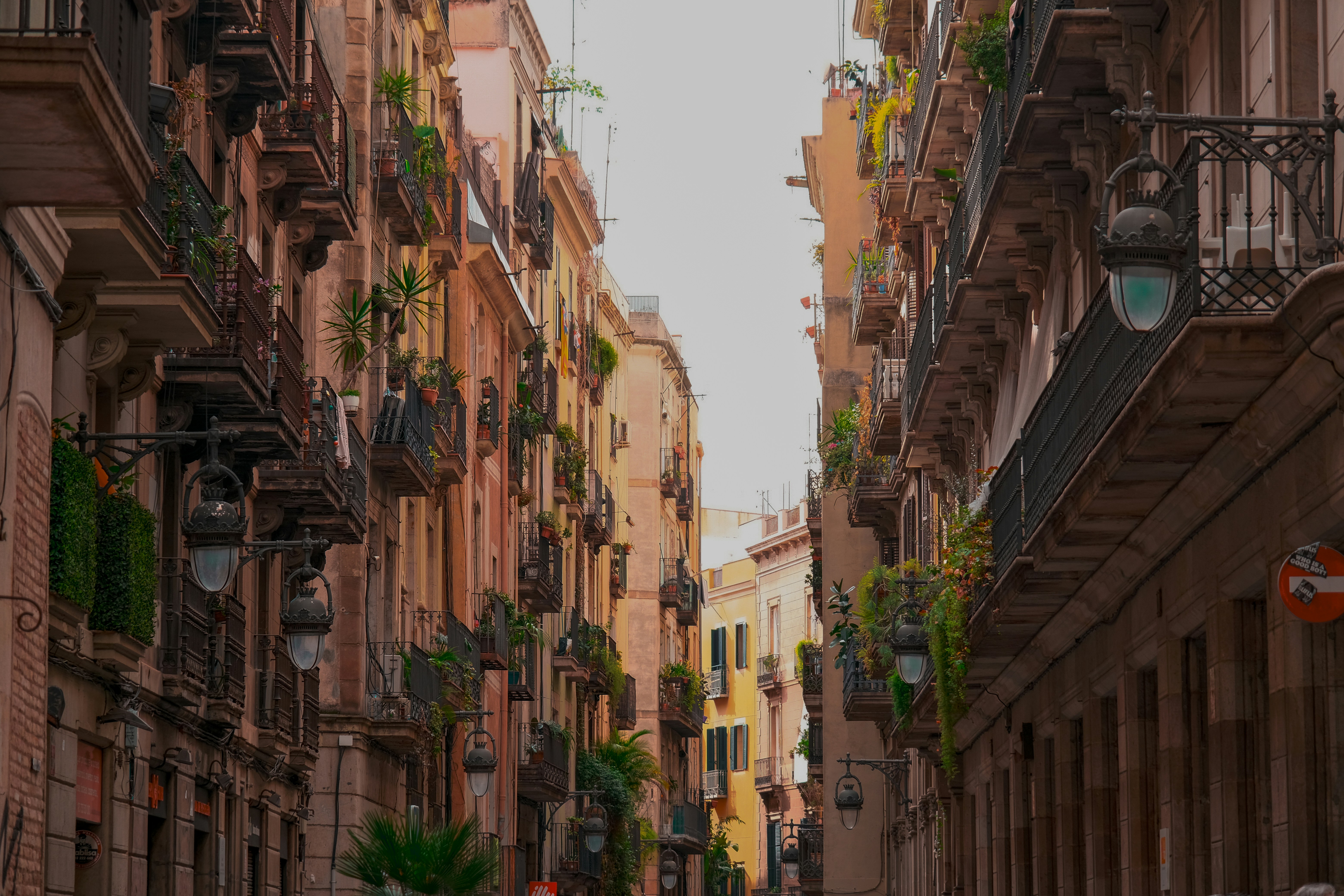 Photo by ronnie_schmutz